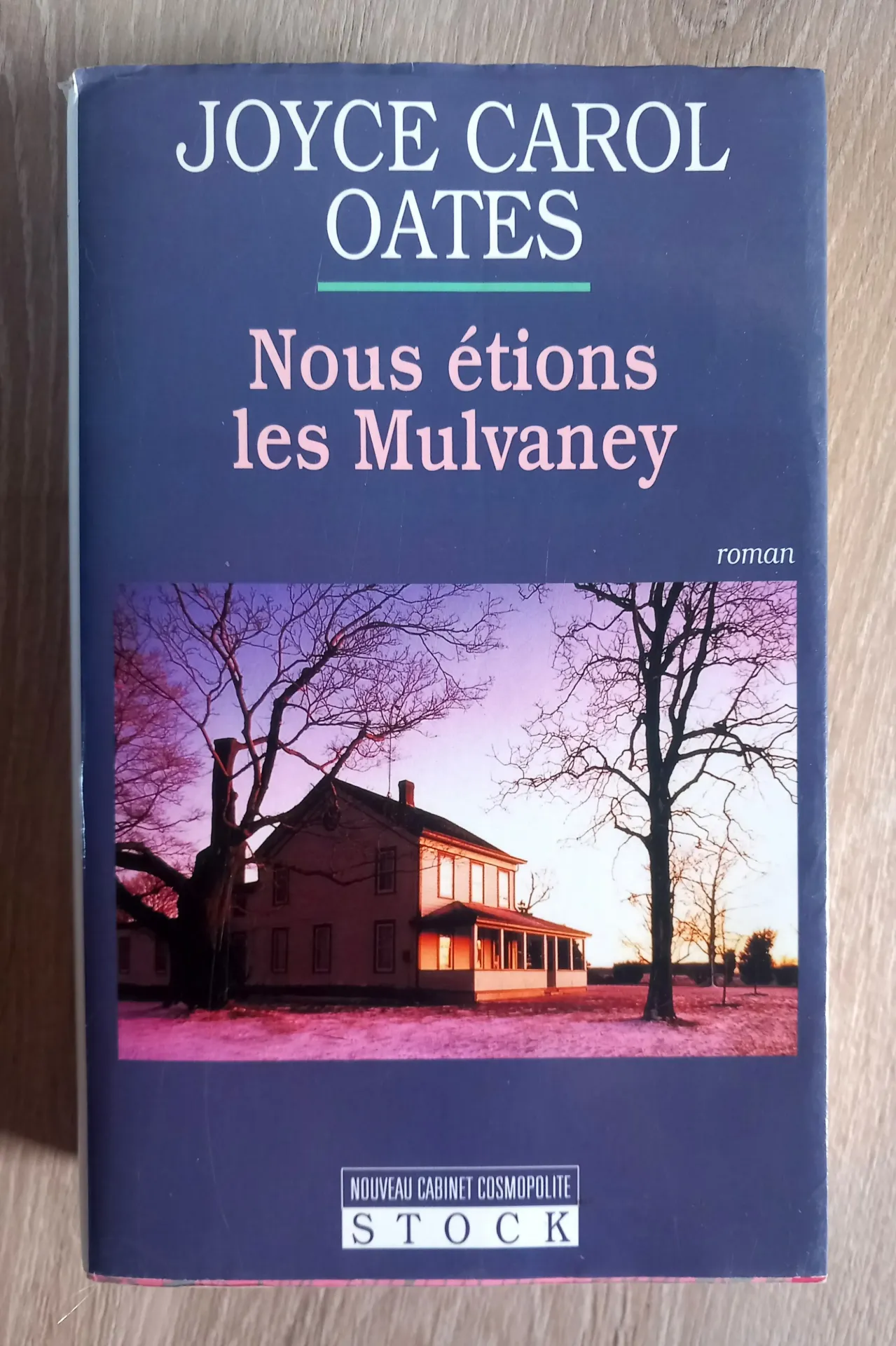 Nous étions les Mulvaney (Joyce Carol Oates)