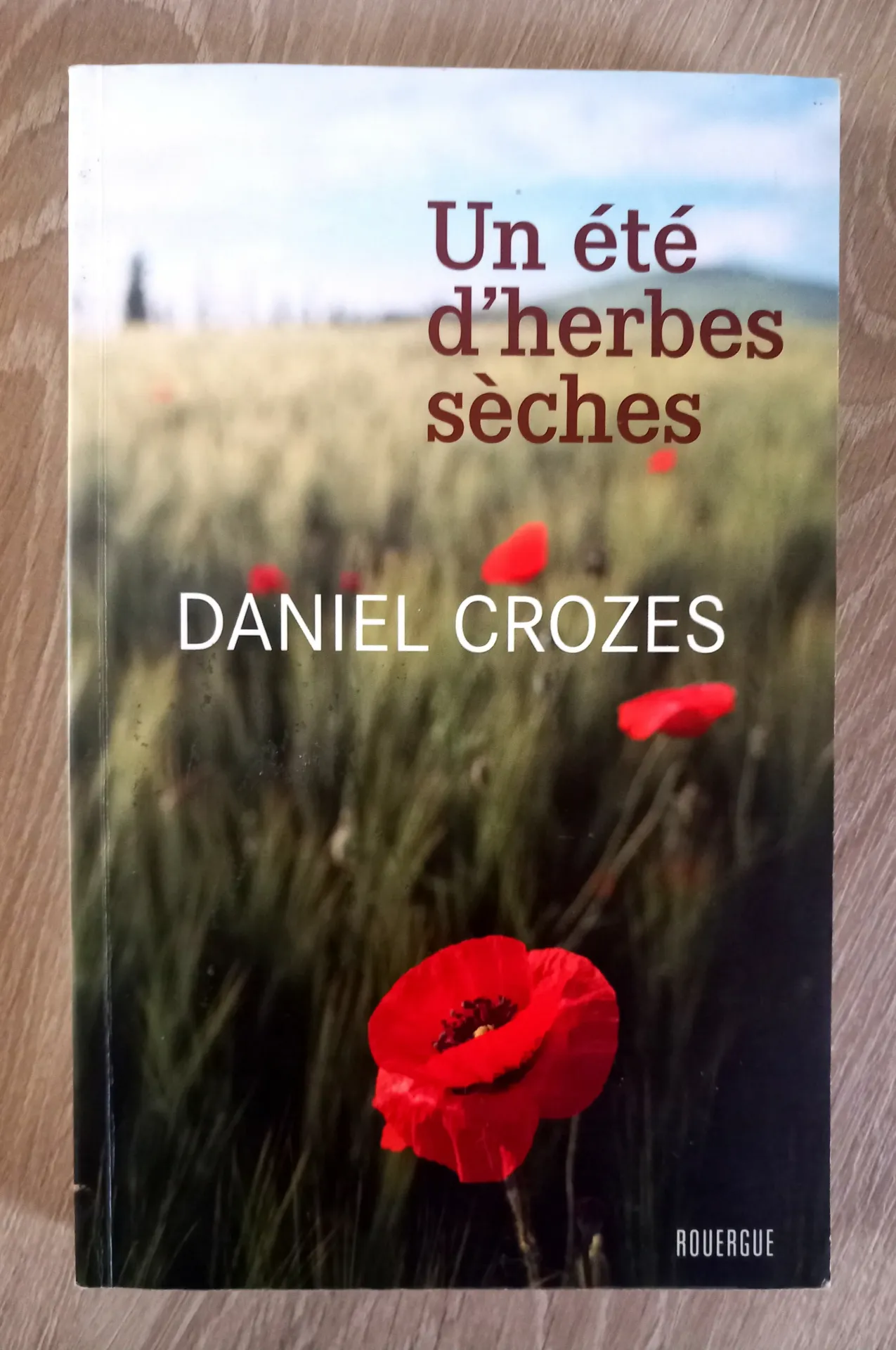 Un été d'herbes sèches (Daniel Crozes)