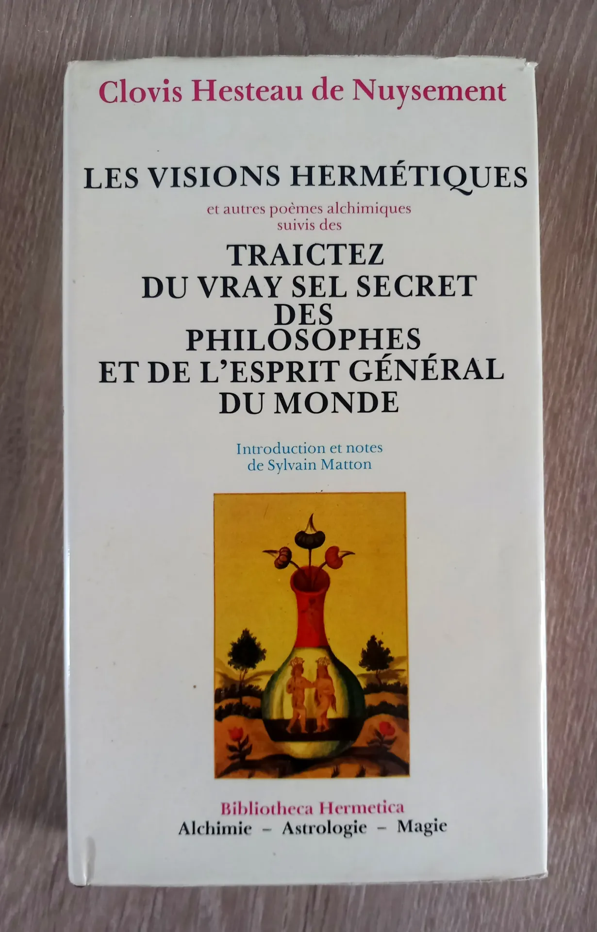 Les visions hermétiques, suivies des Traictez du vray sel secret des philosophes et de l'esprit général du monde (Clovis Hesteau de Nuysement)