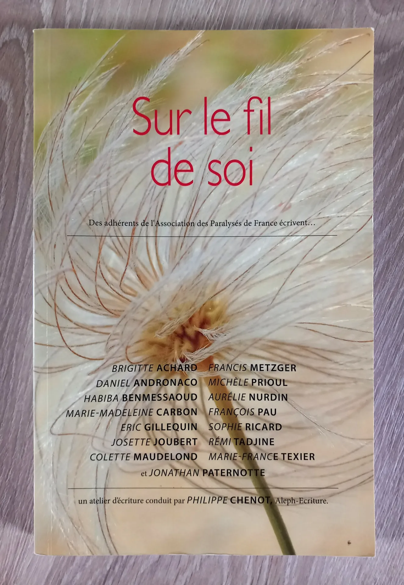 Sur le fil de Soi : un Atelier d'écriture (Philippe Chenot)
