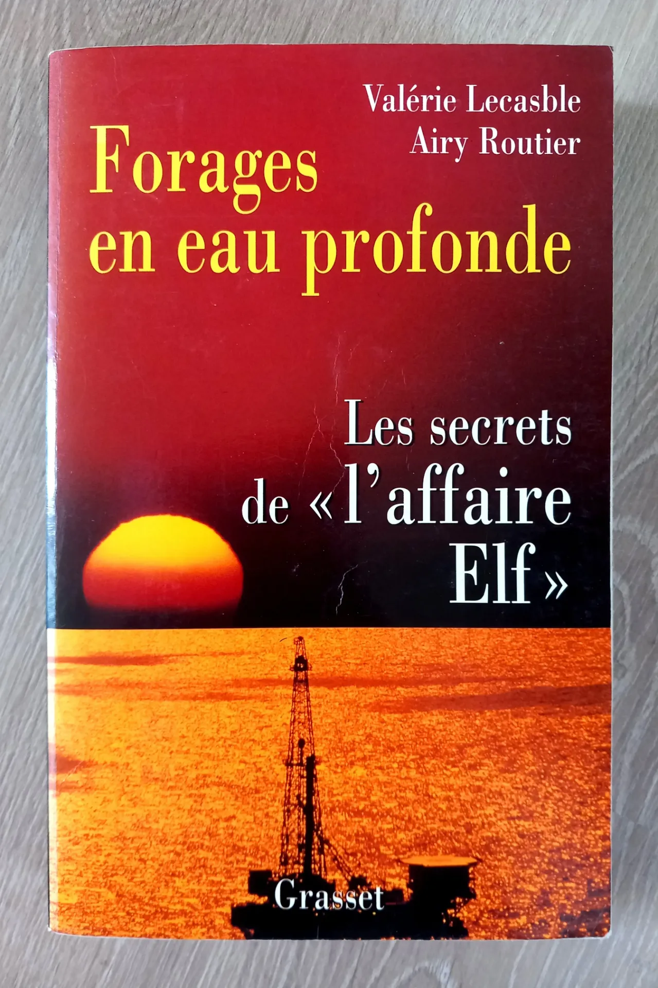 Forages en eau prodonde : les secrets de l'affaire Elf (Valérie Lecasble, Airy Routier)