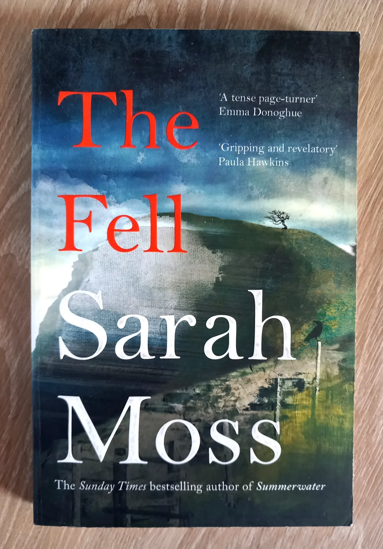 The Fell (Sarah Moss)