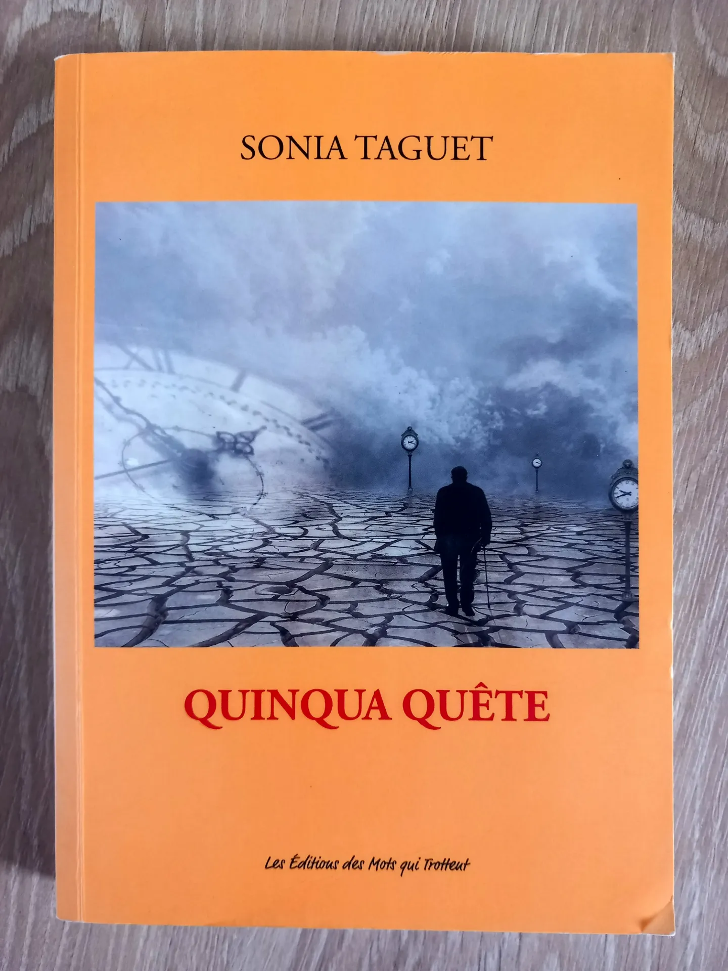Quinqua quête (Sonia Taguet)