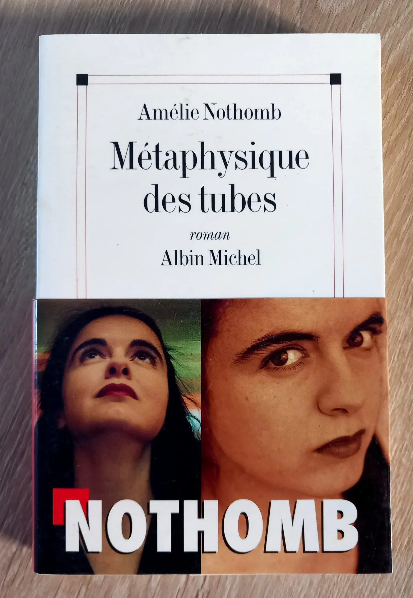 Métaphysique des tubes (Amélie Nothomb)