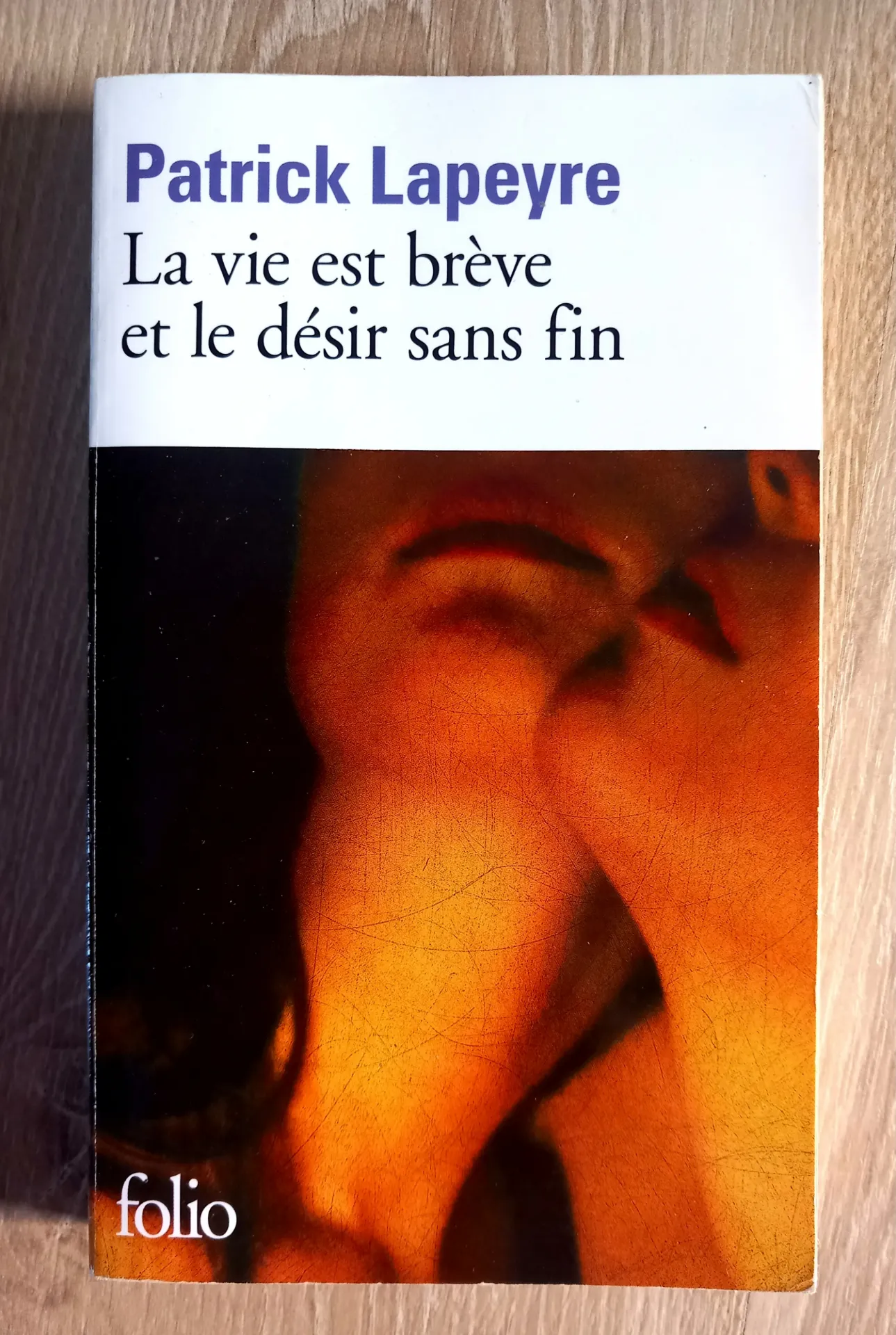 La vie est brève et le désir sans fin (Patrick Lapeyre)