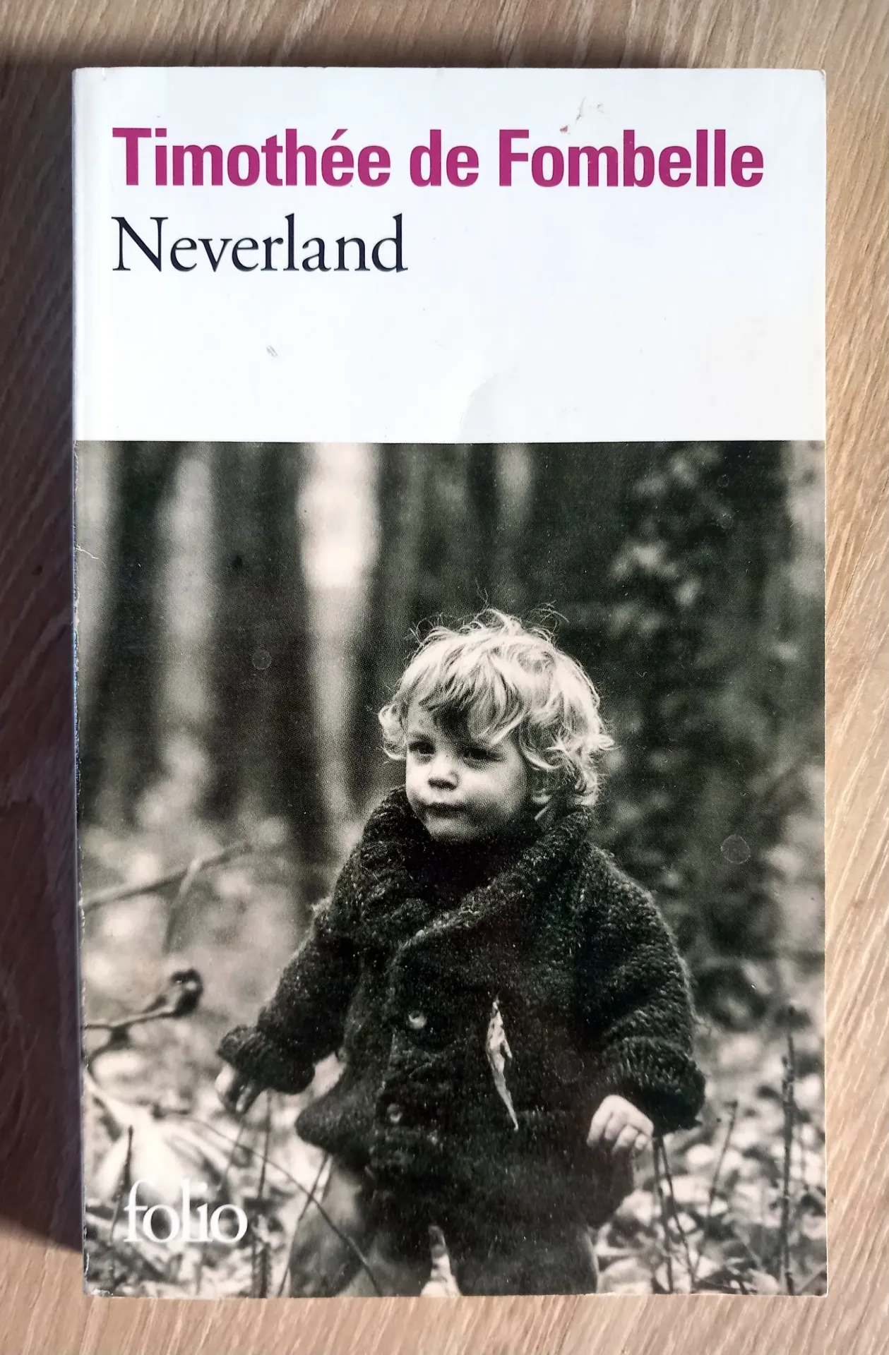 Neverland (Timothée de Fombelle)