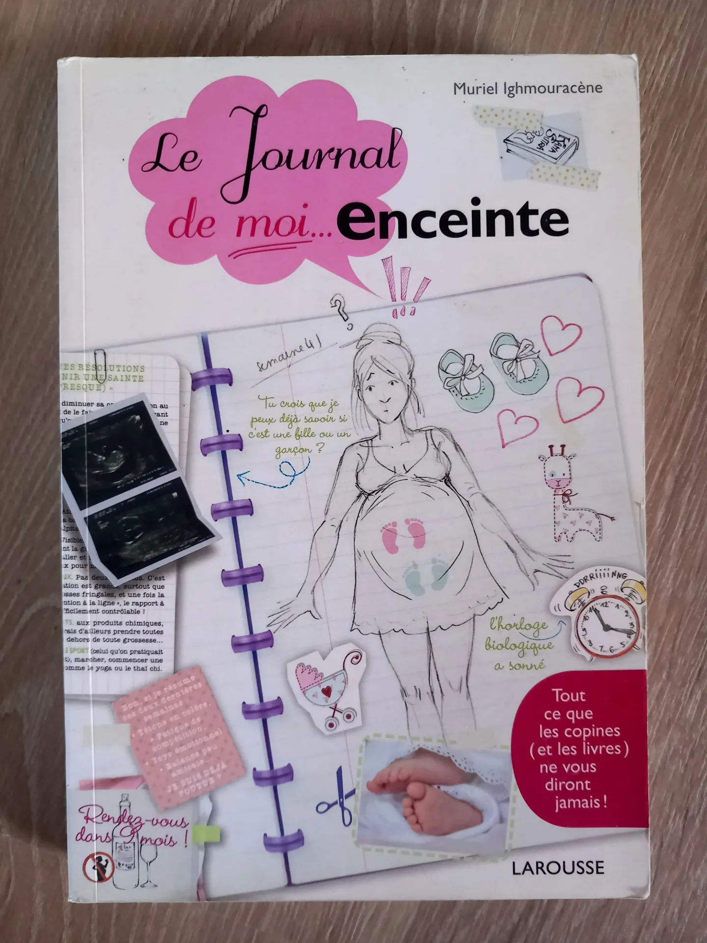Le journal de moi... enceinte (Muriel Ighmouracène)