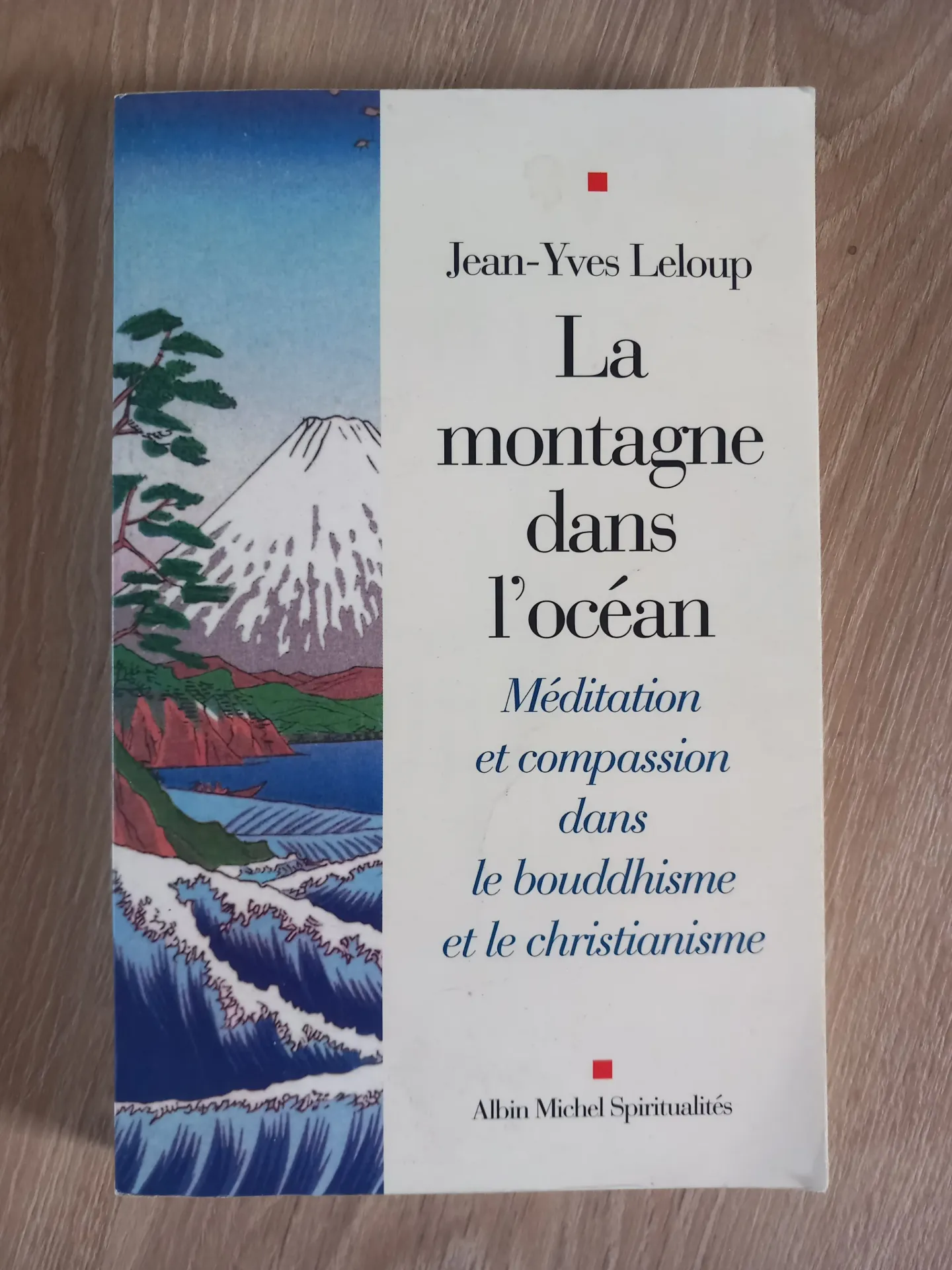 La montagne dans l'océan (Jean-Yves Leloup)