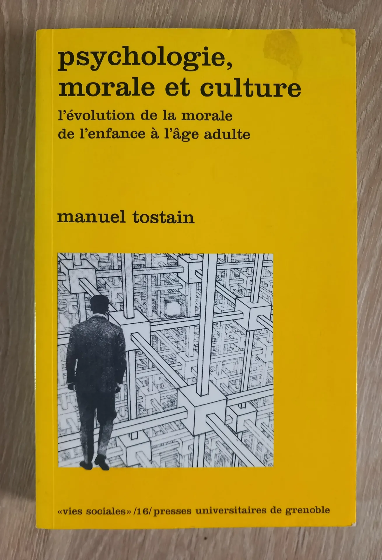 Psychologie morale et culture (Manuel Tostain)