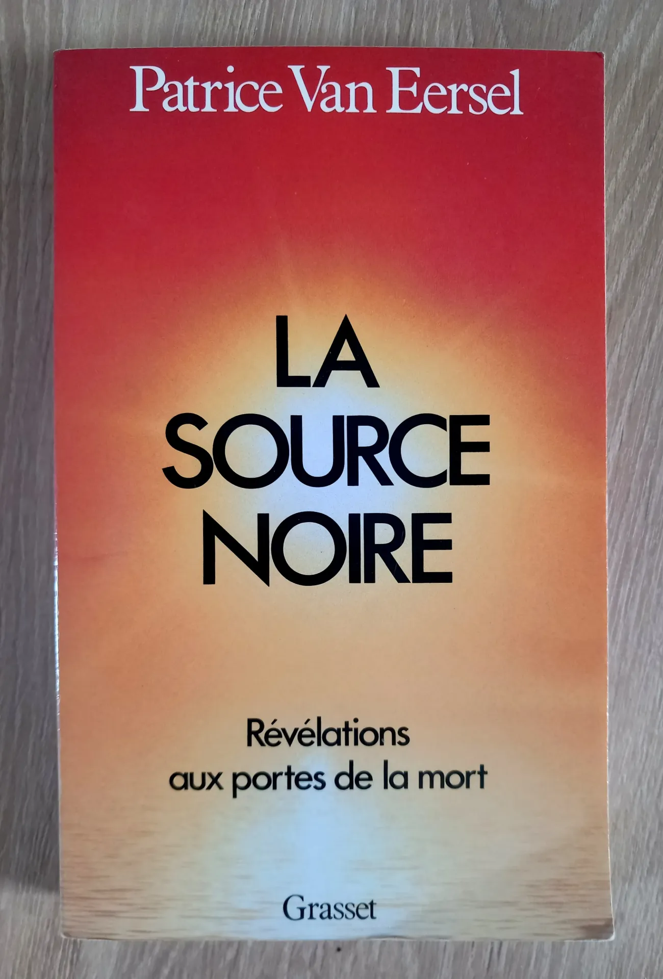 La source noire : révélations aux portes de la mort (Patrice Van Eersel)