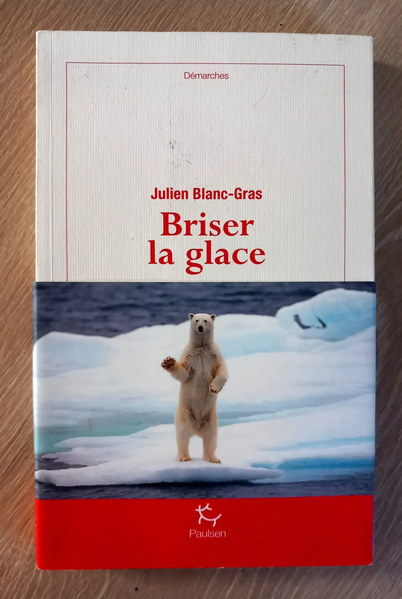 Briser la glace (Julien Blanc-Gras)