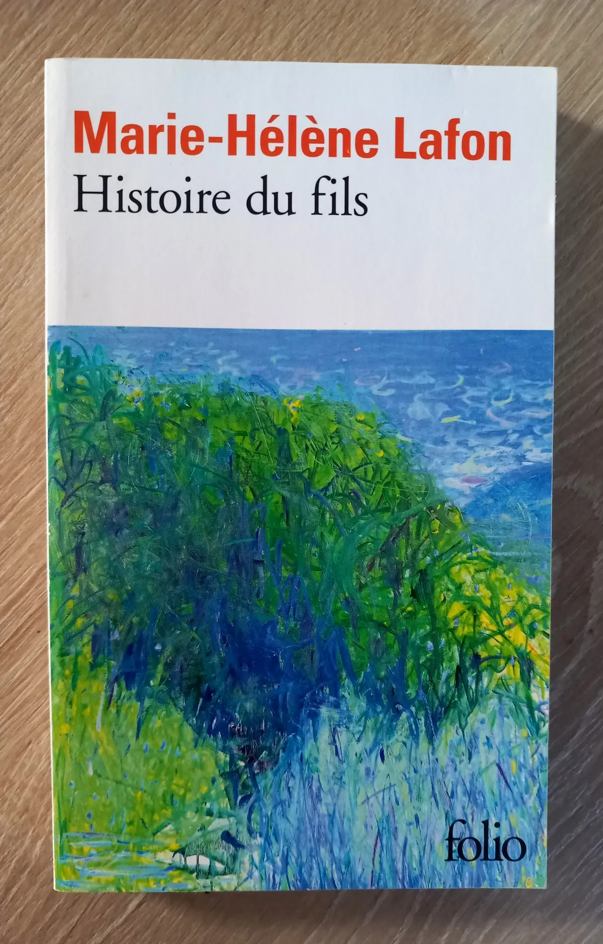 Histoire du fils (Marie-Hélène Lafon)