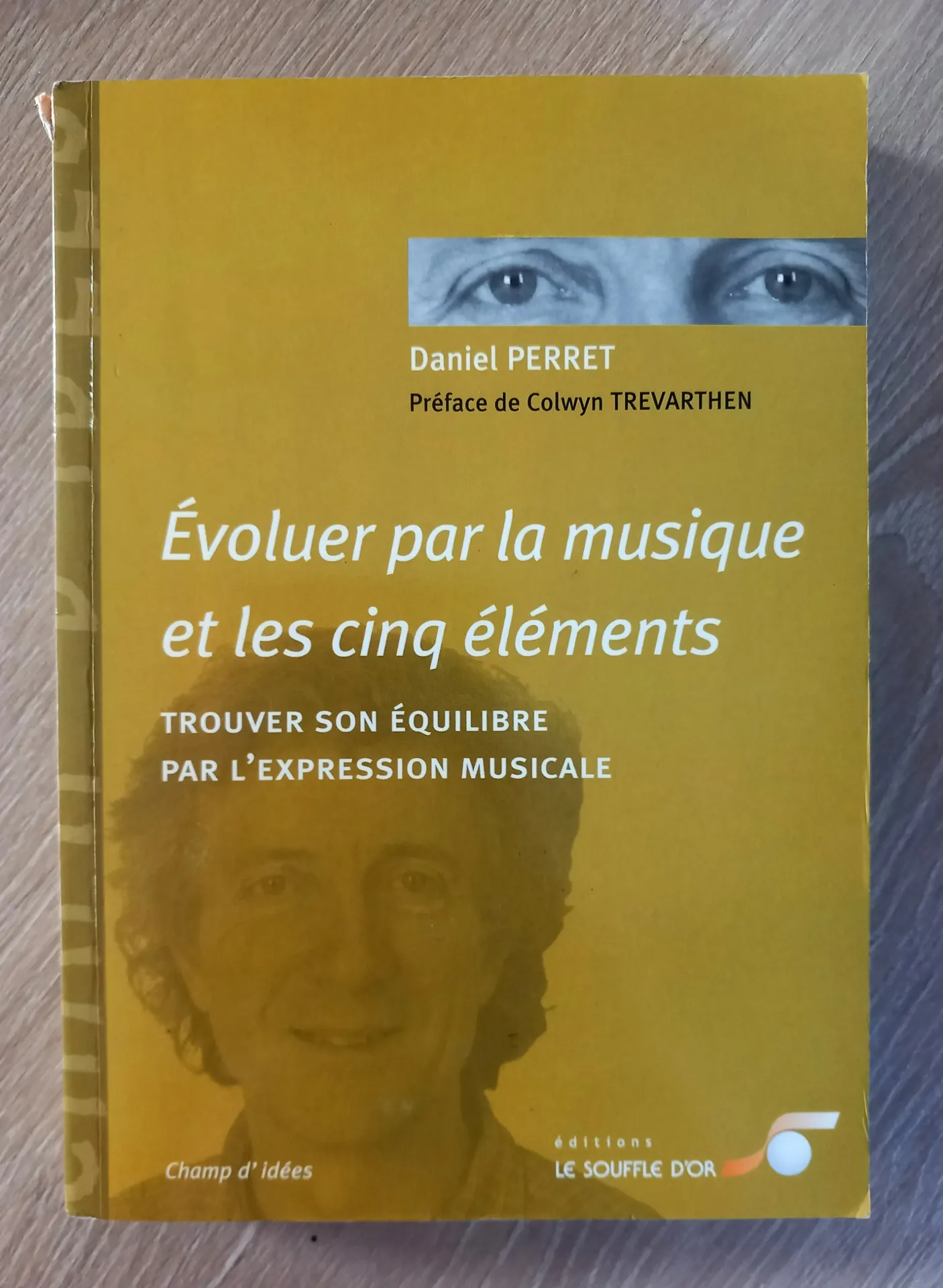 Evoluer par la musique et les cinq éléments (Daniel Perrer)