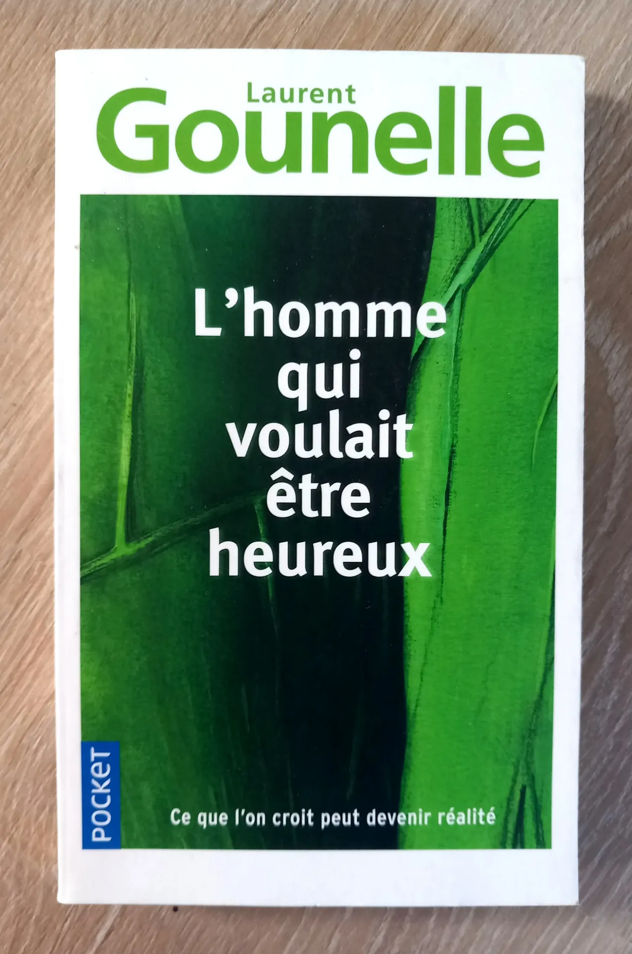 L'homme qui voulait être heureux (Laurent Gounelle)