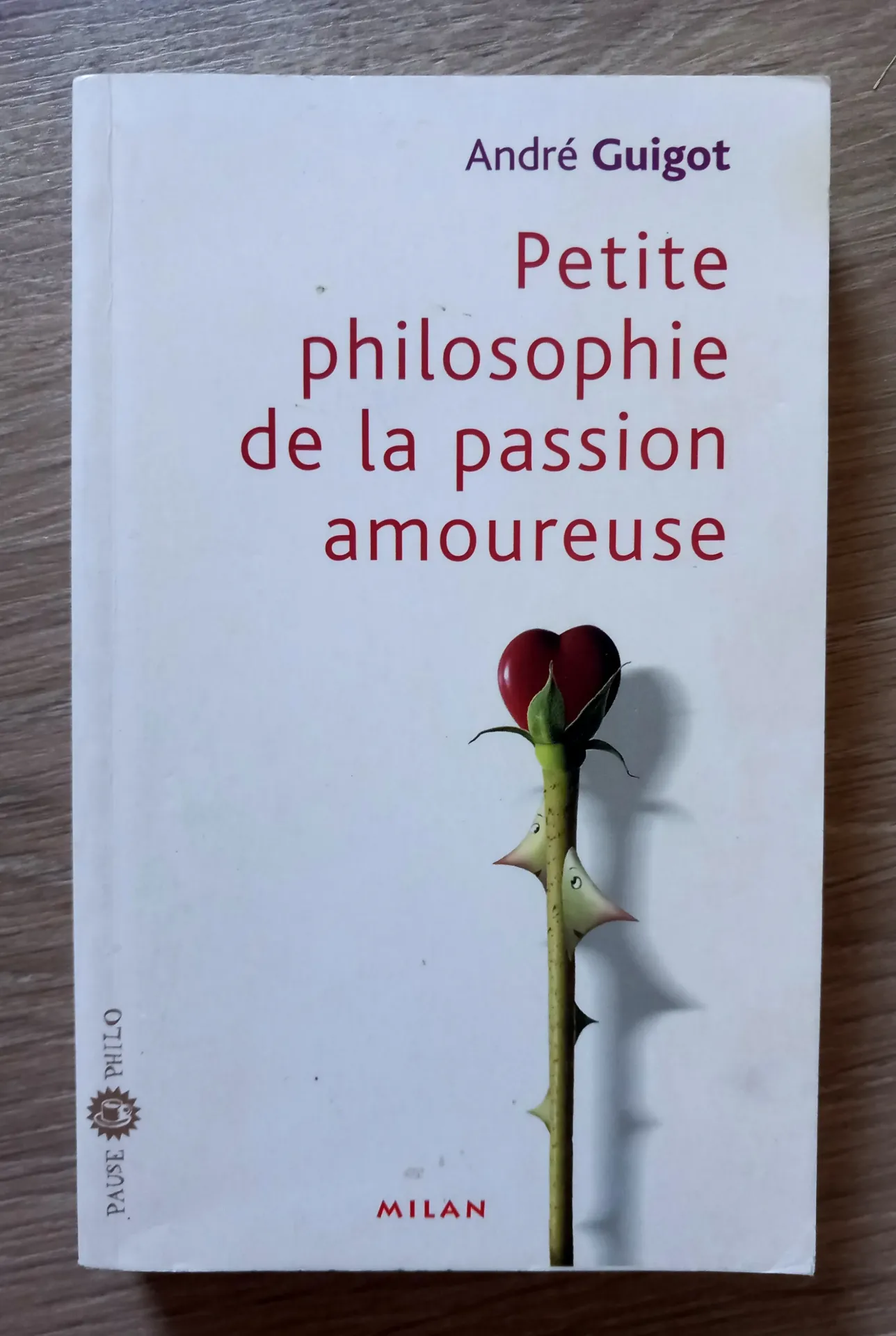 Petite philosophie de la passion amoureuse (André Guigot)