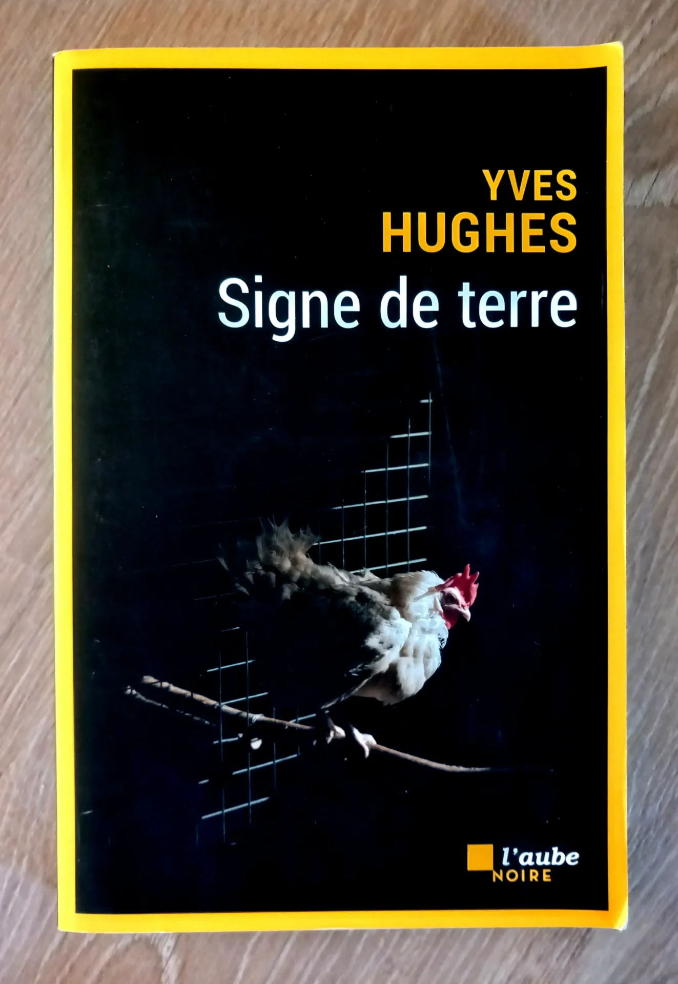 Signe de terre (Yves Hugues)