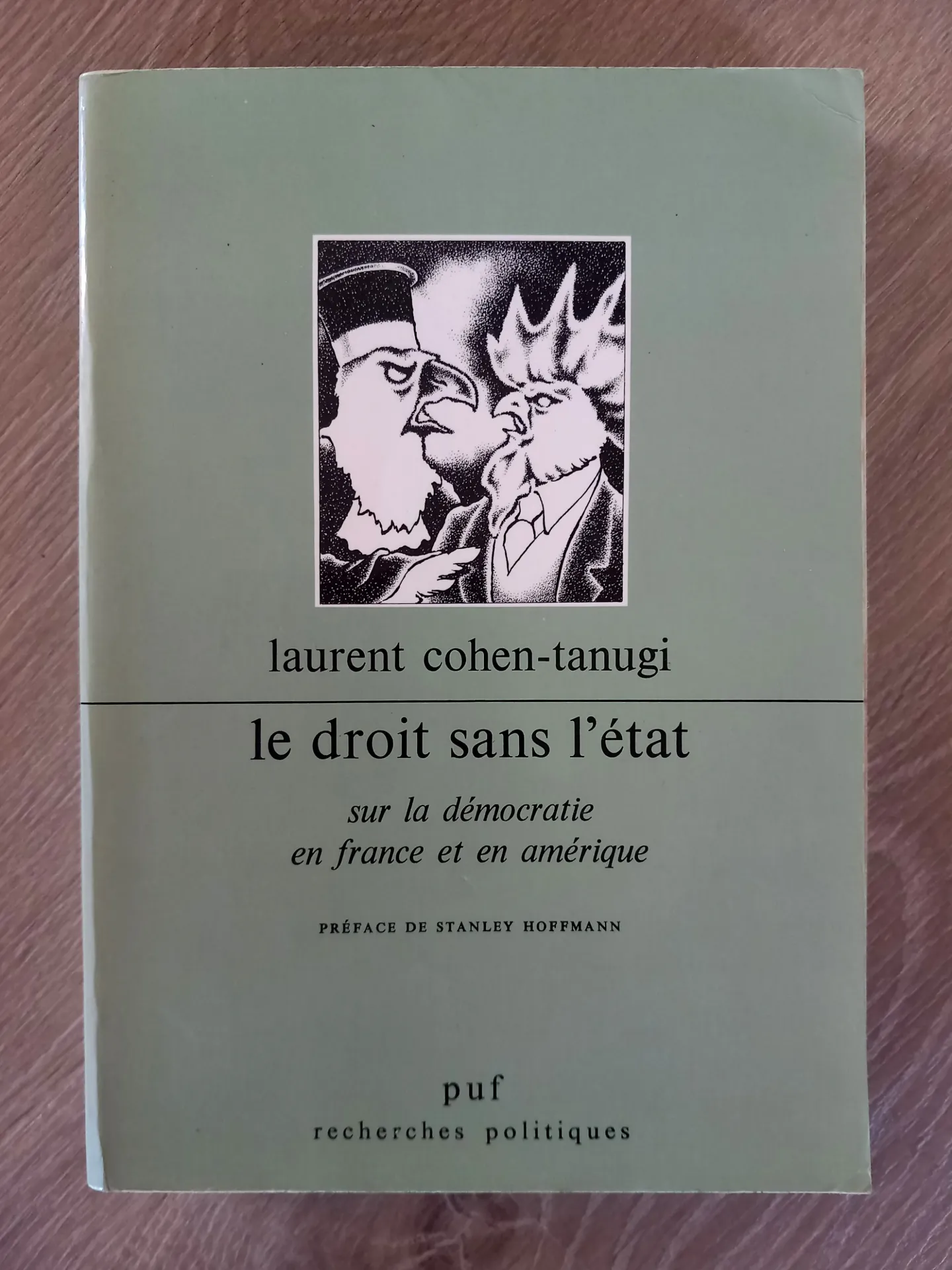 Le droit sans l'Etat, sur la démocratie en France et en Amérique (Laurent Cohen-Tanugi)