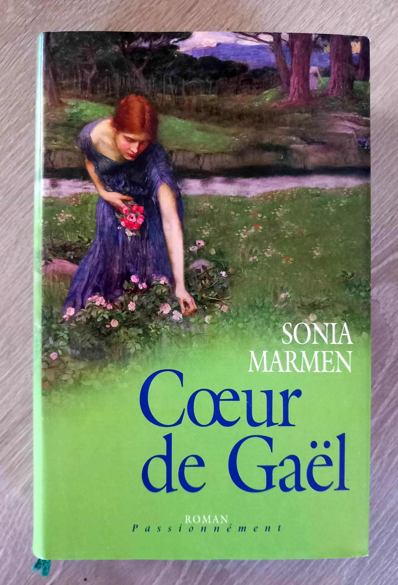 Coeur de Gaël (Sonia Marmen)