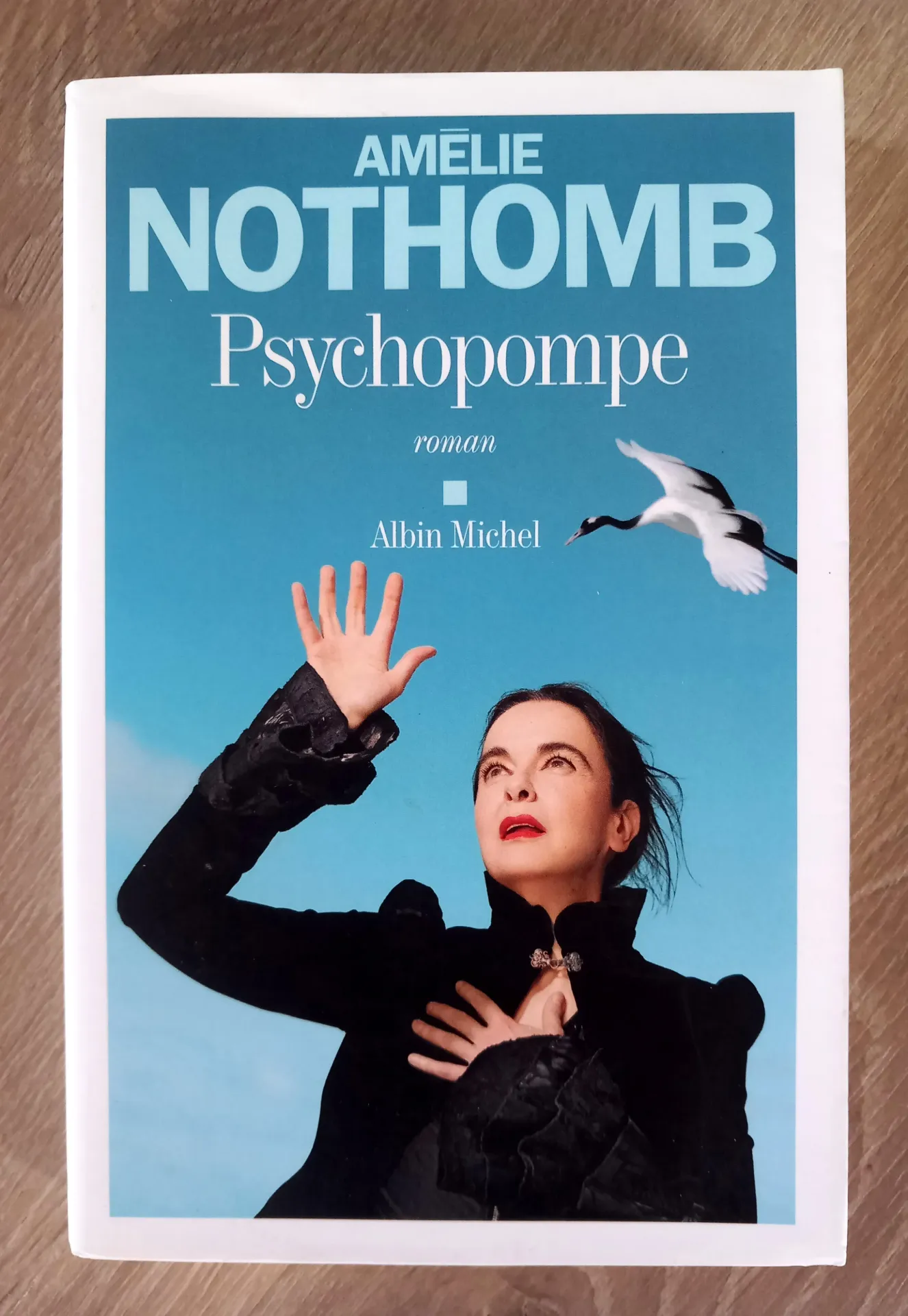 Psychopompe (Amélie Nothomb)
