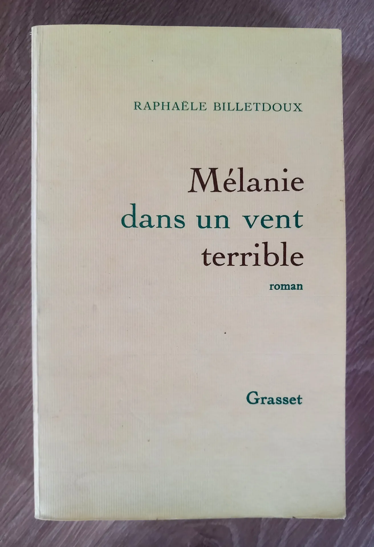 Mélanie dans un vent terrible (Raphaèle Billetdoux)