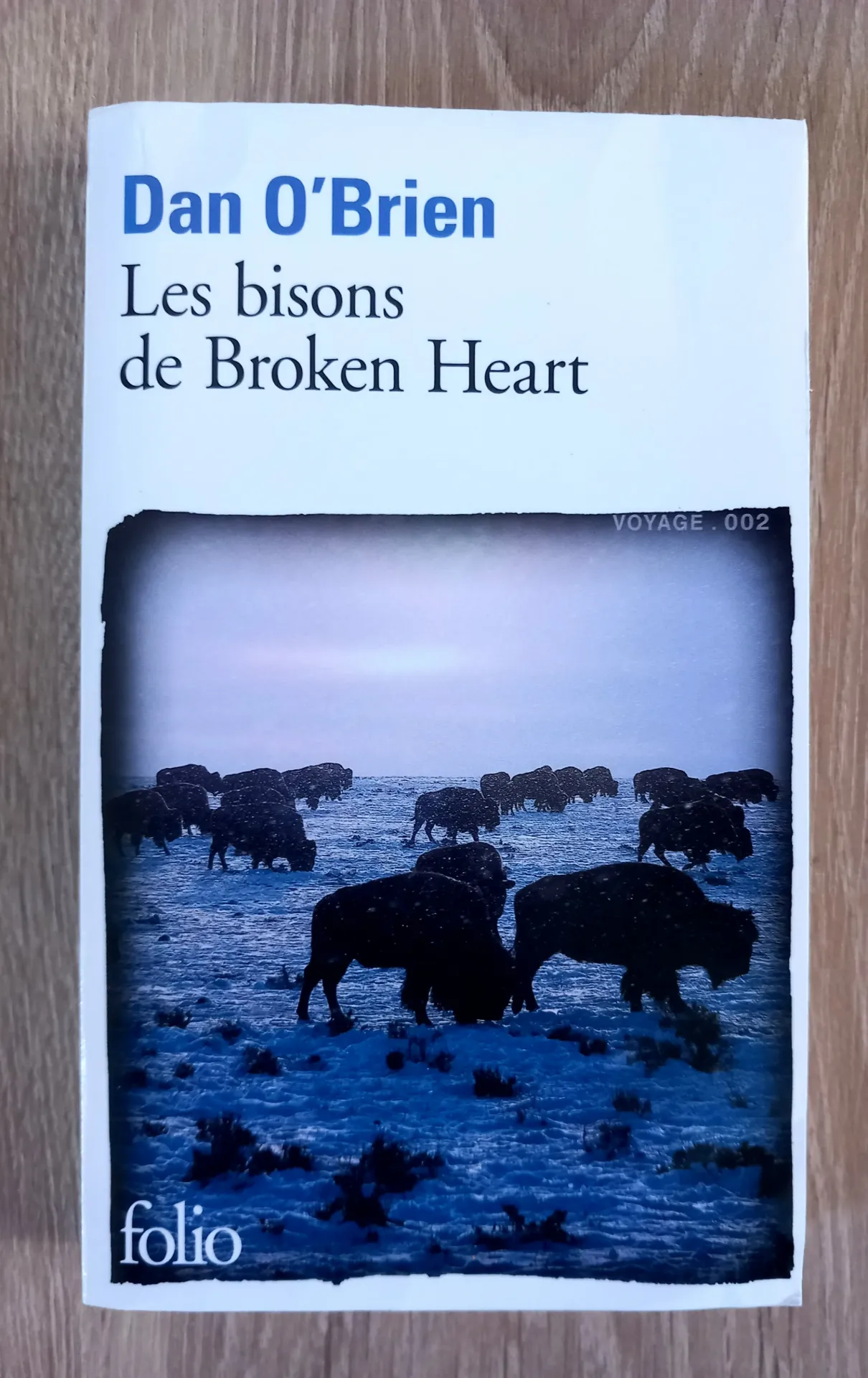 Les bisons de Broken Heart (Dan O'Brien)