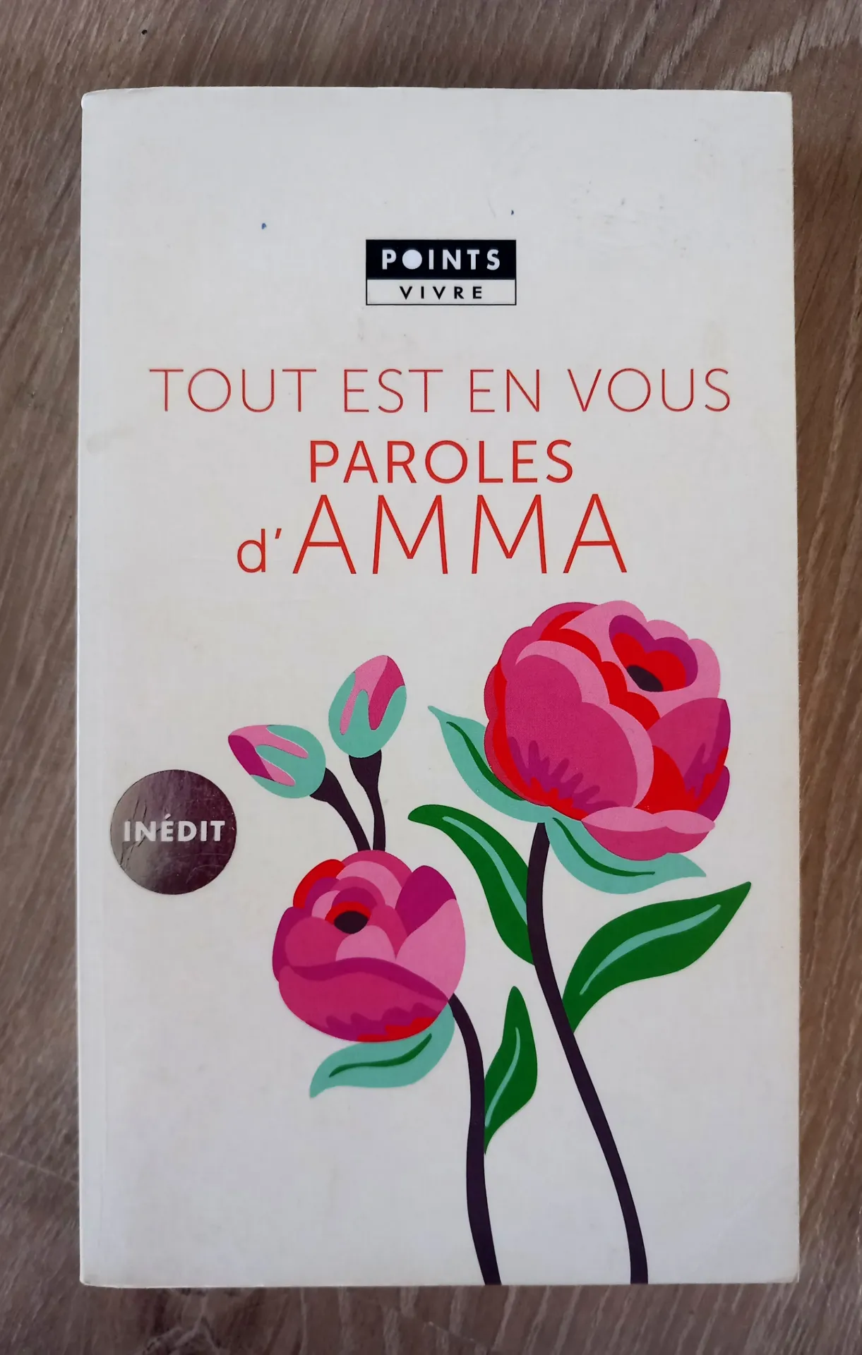 Tout est en vous : paroles d'Amma (Mata Amritanandamayi)