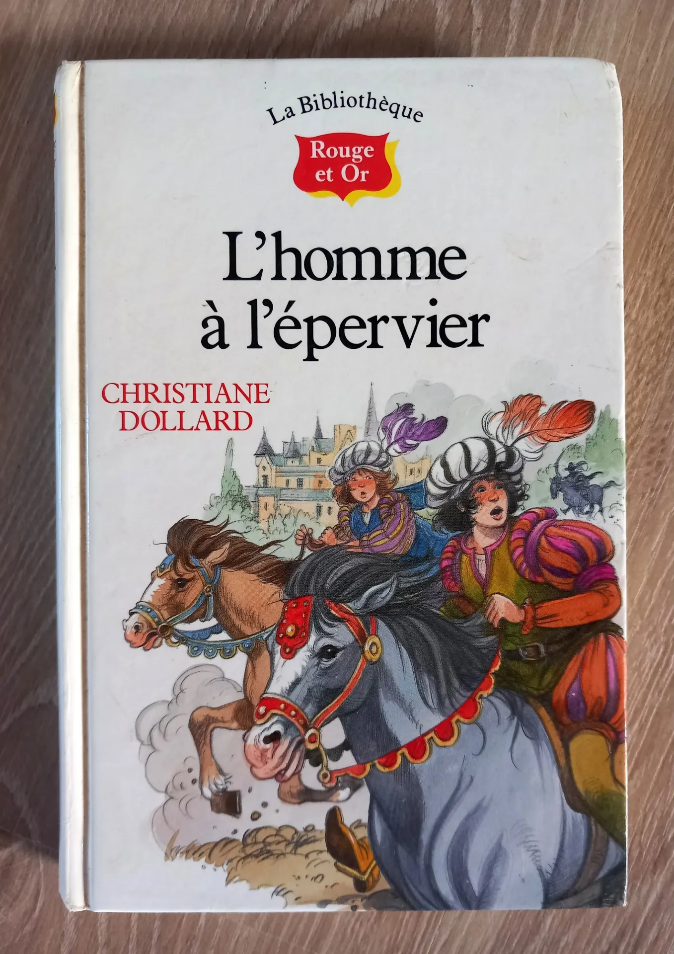 L'homme à l'épervier (Christiane Dollard)