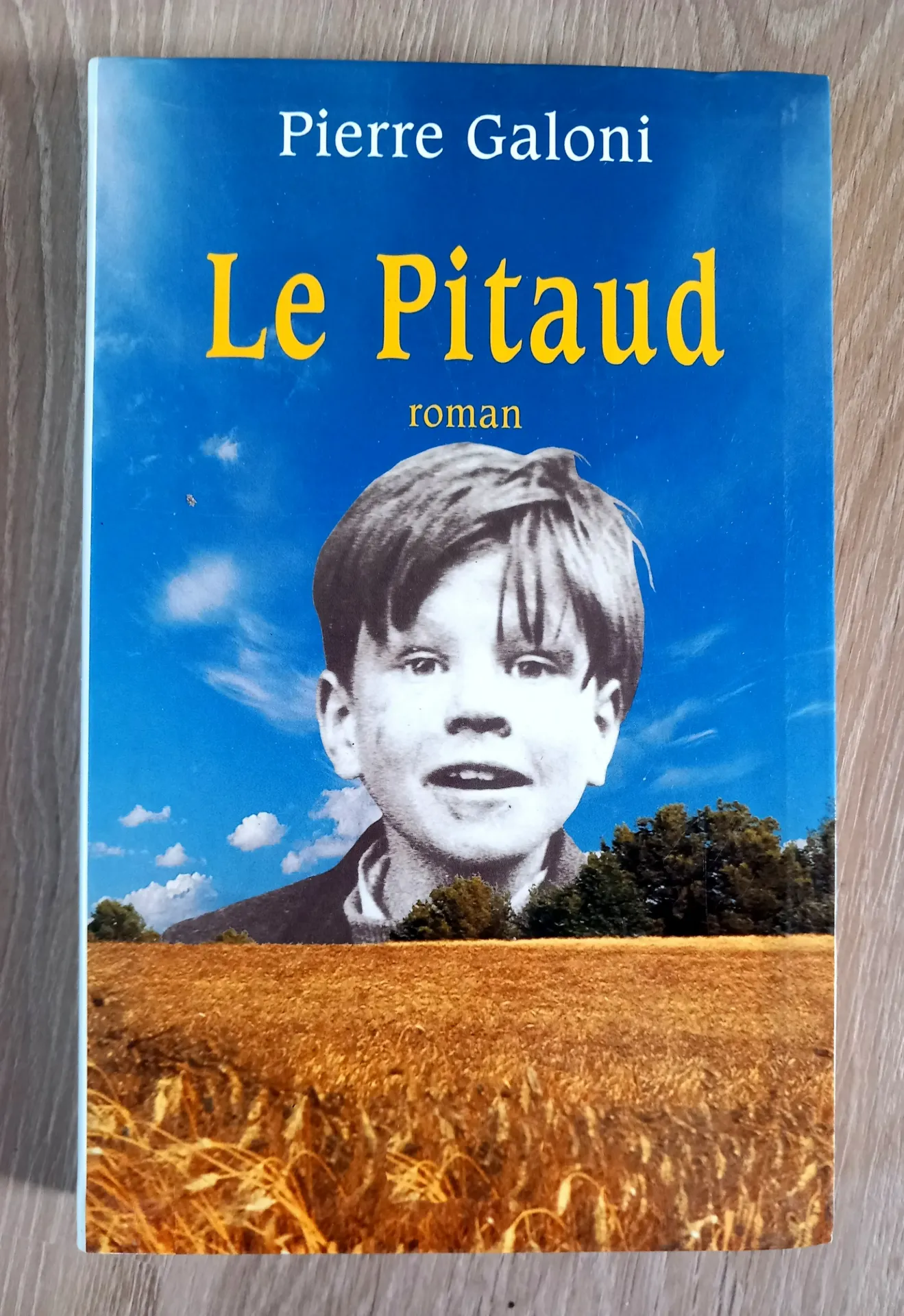 Le Pitaud (Pierre Galoni)