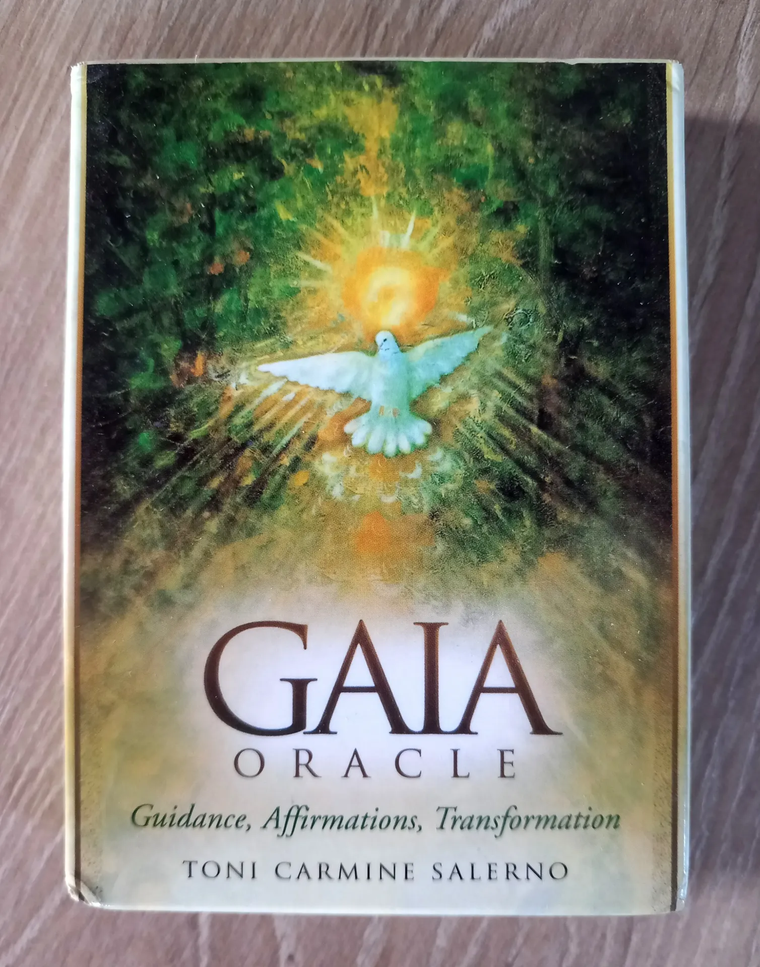 Oracle Gaia (Toni Carmine Salerno)