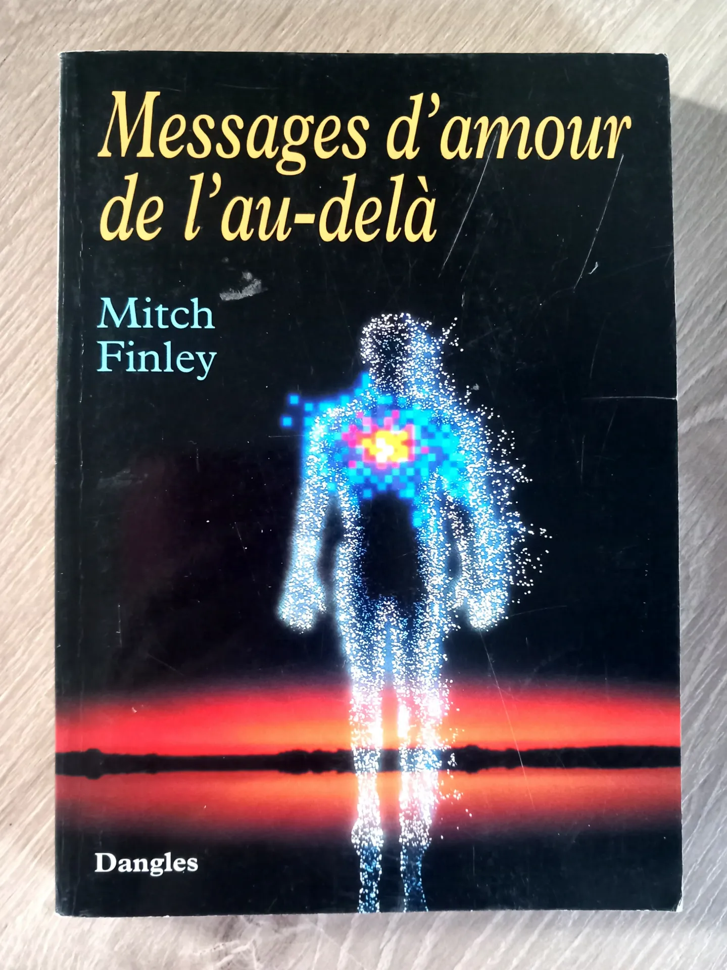 Messages d'amour de l'au-delà (Mitch Finley)