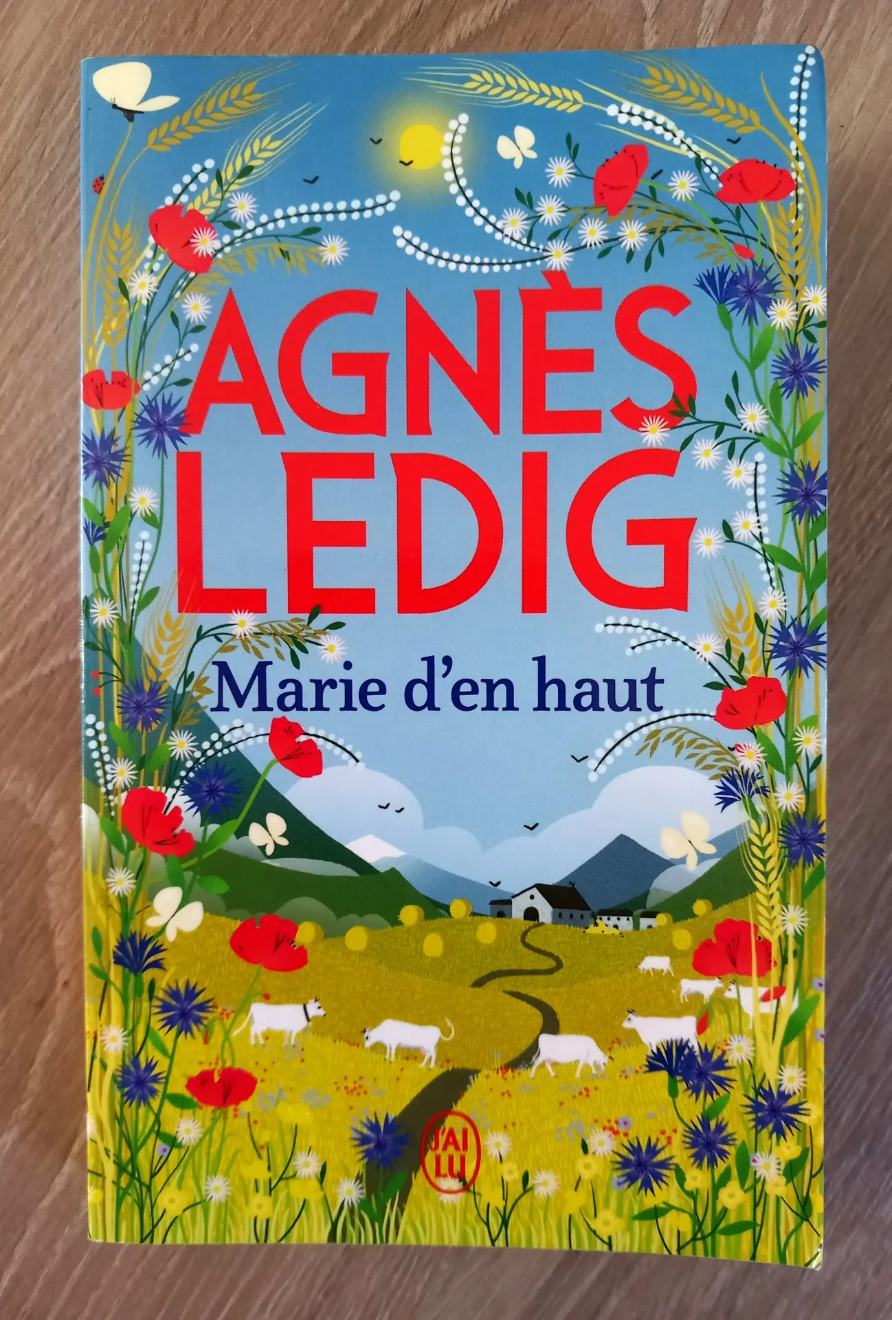 Marie d'en haut (Agnès Ledig)