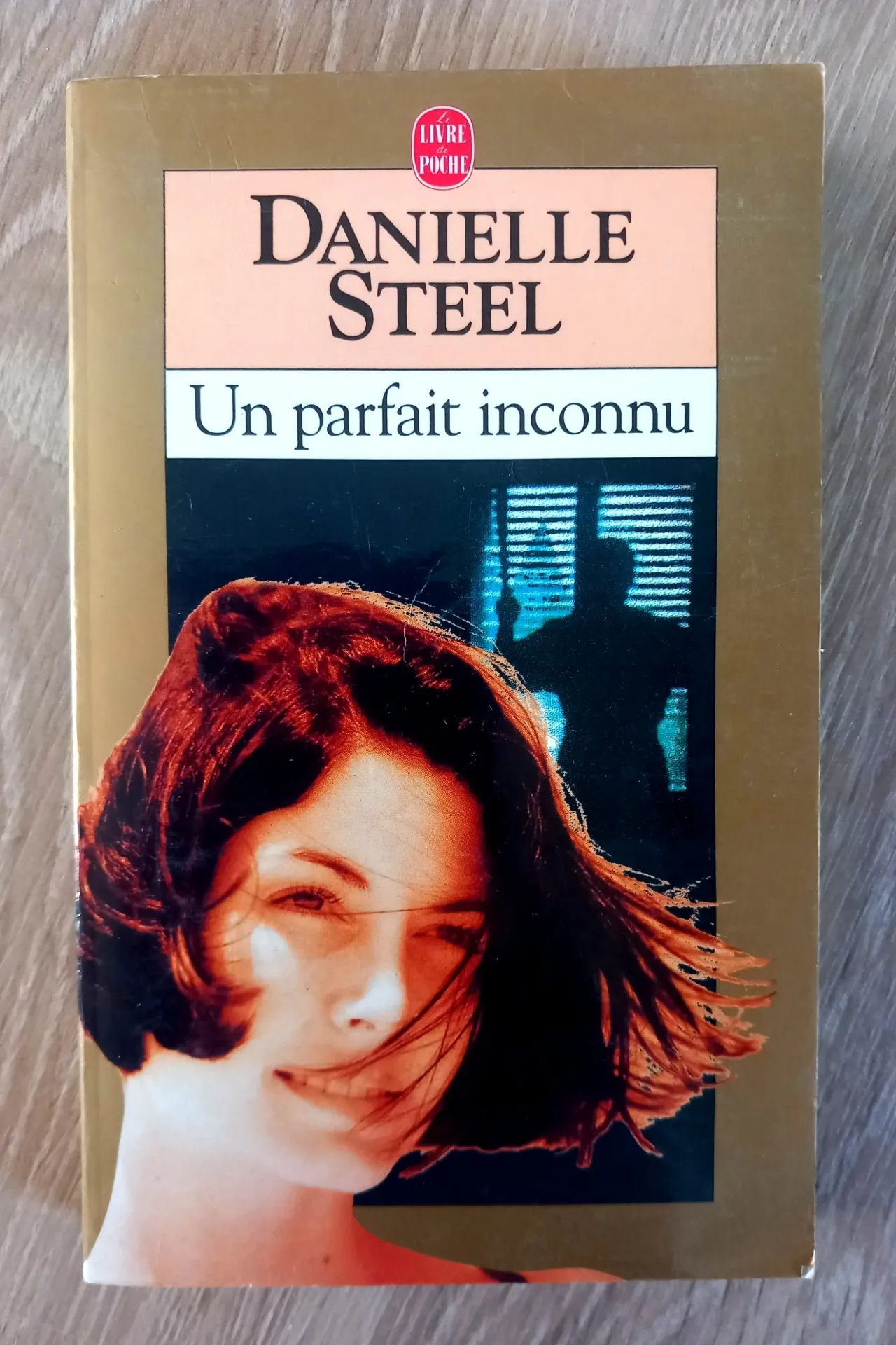 Un parfait inconnu (Danielle Steel)