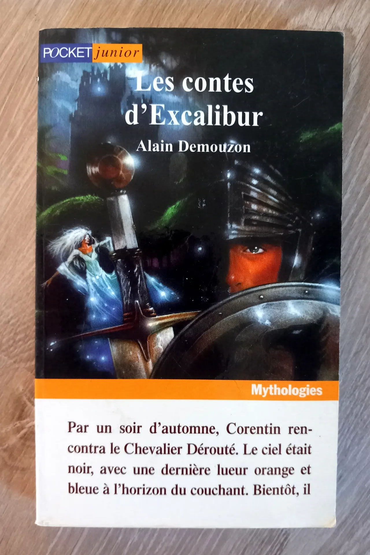 Les contes d'Excalibur (Alain Demouzon)