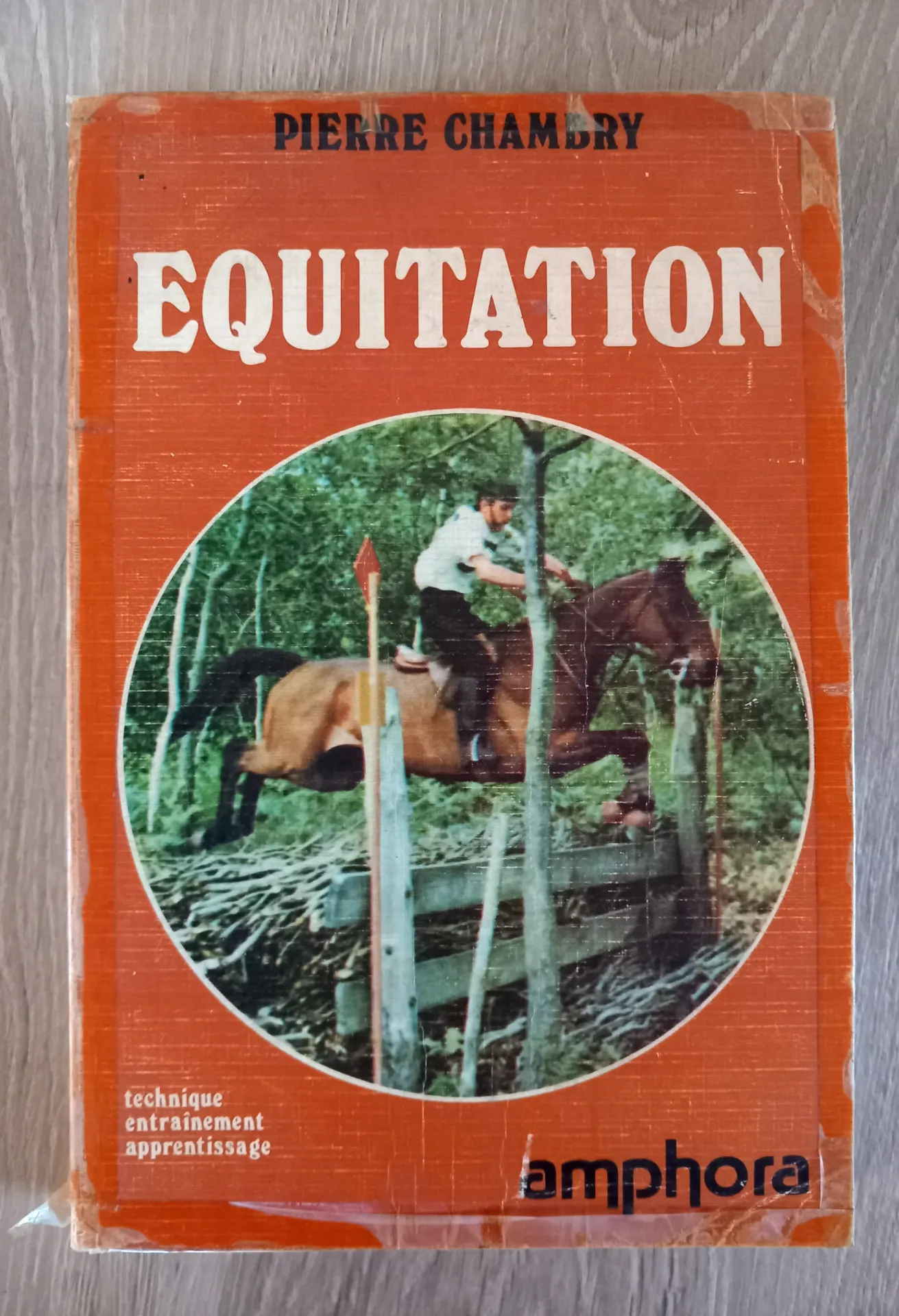 Equitation : technique, entrainement, apprentissage (Pierre Chambry)