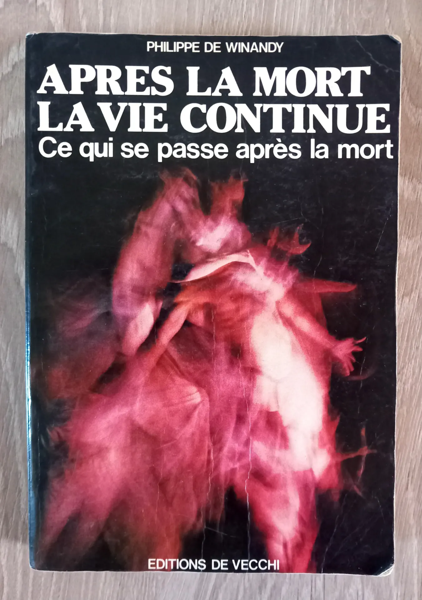 Après la mort, la vie continue (Philippe de Winandy)