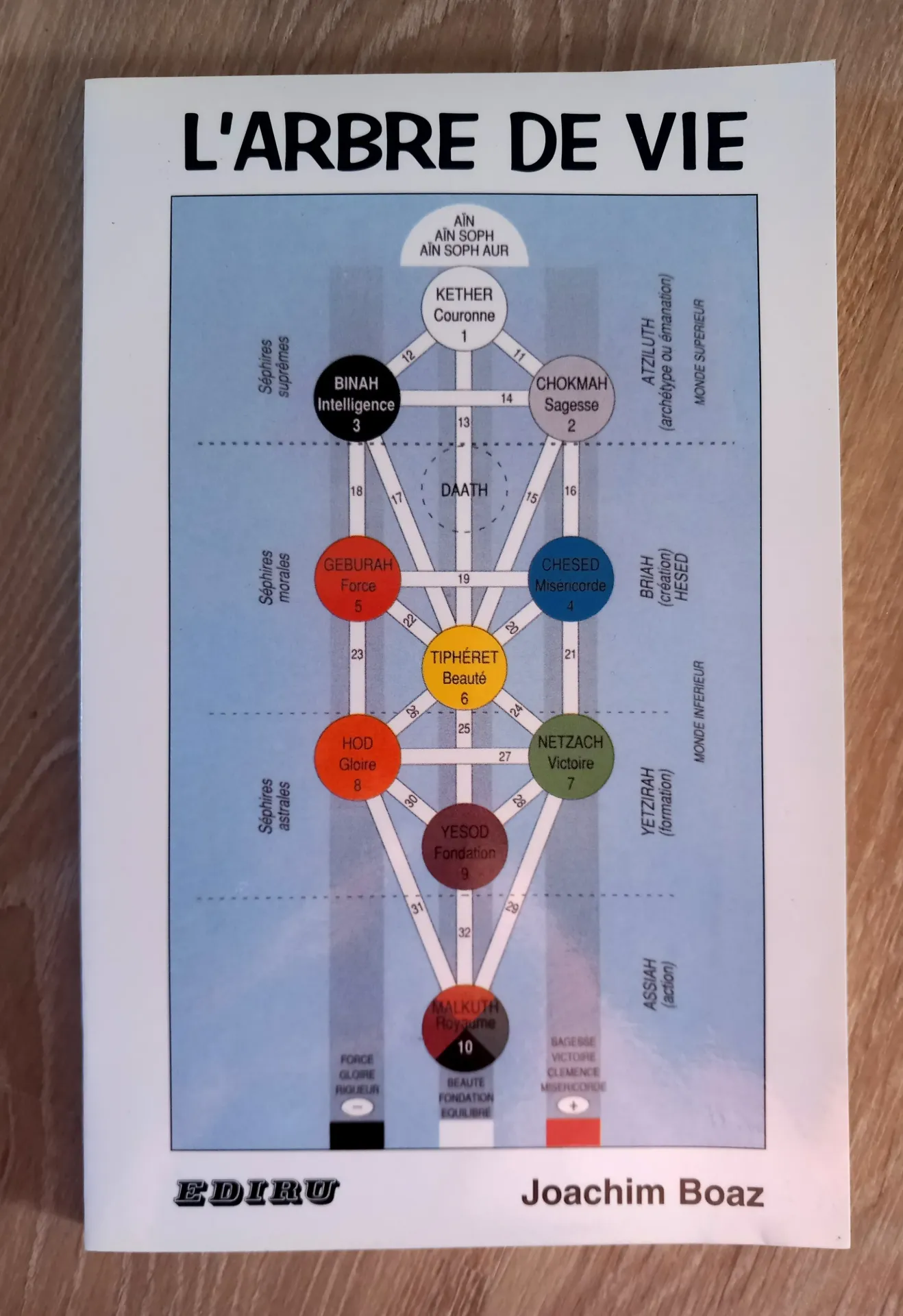 L'Arbre de Vie (Joachim Boaz)