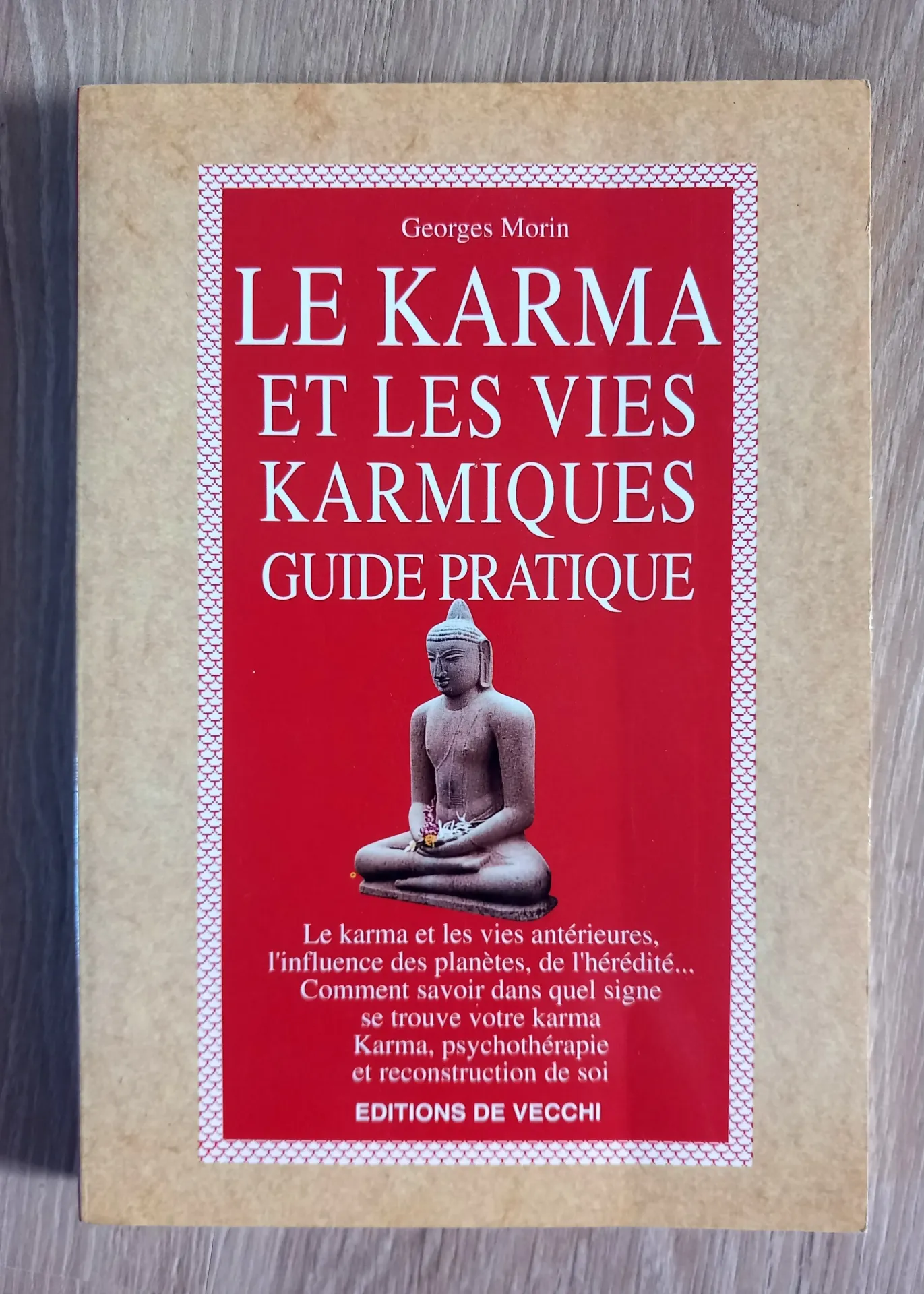 Le karma et les vies karmiques, guide pratique (Georges Morin)
