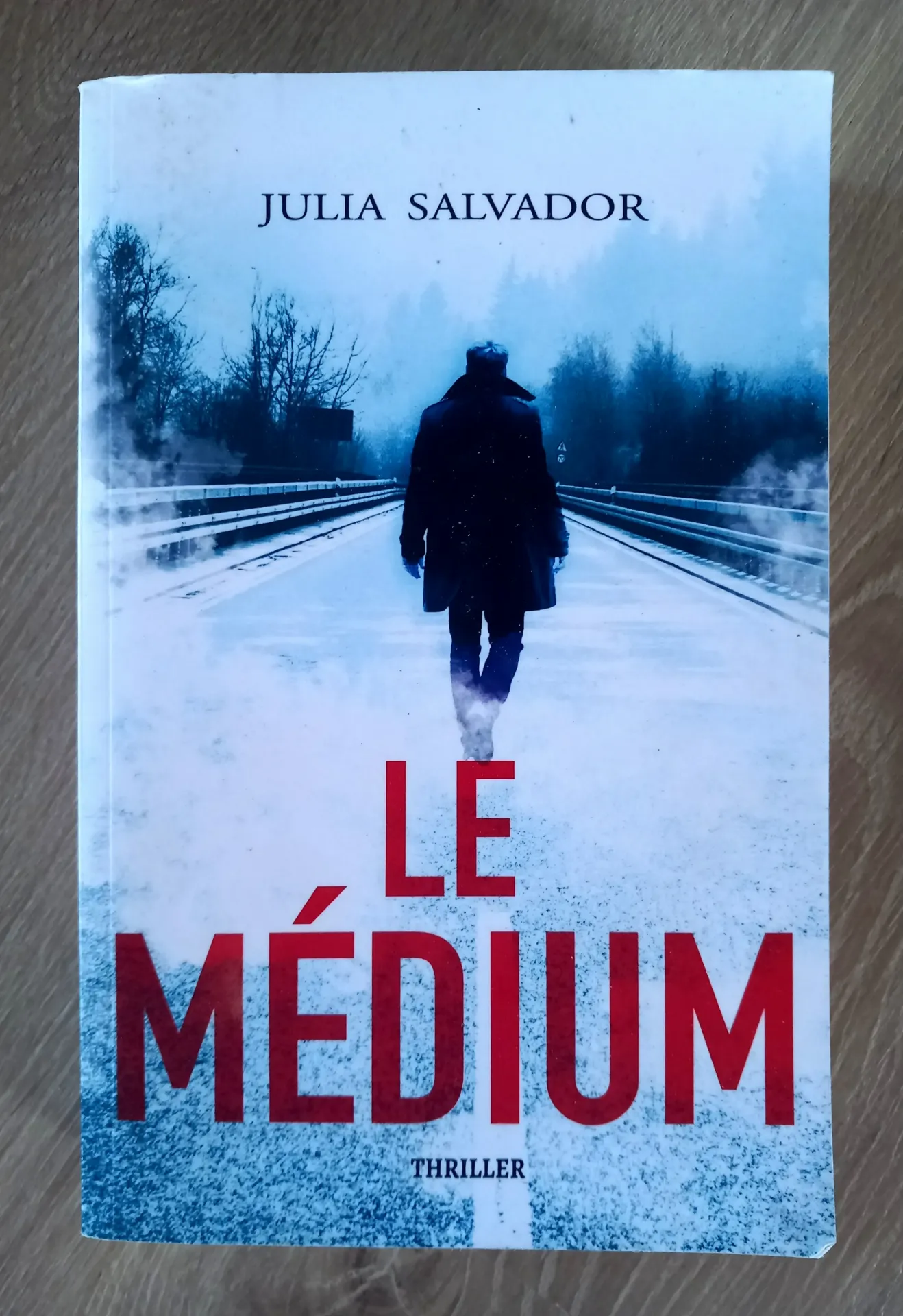 Le médium (Julia Salvador)
