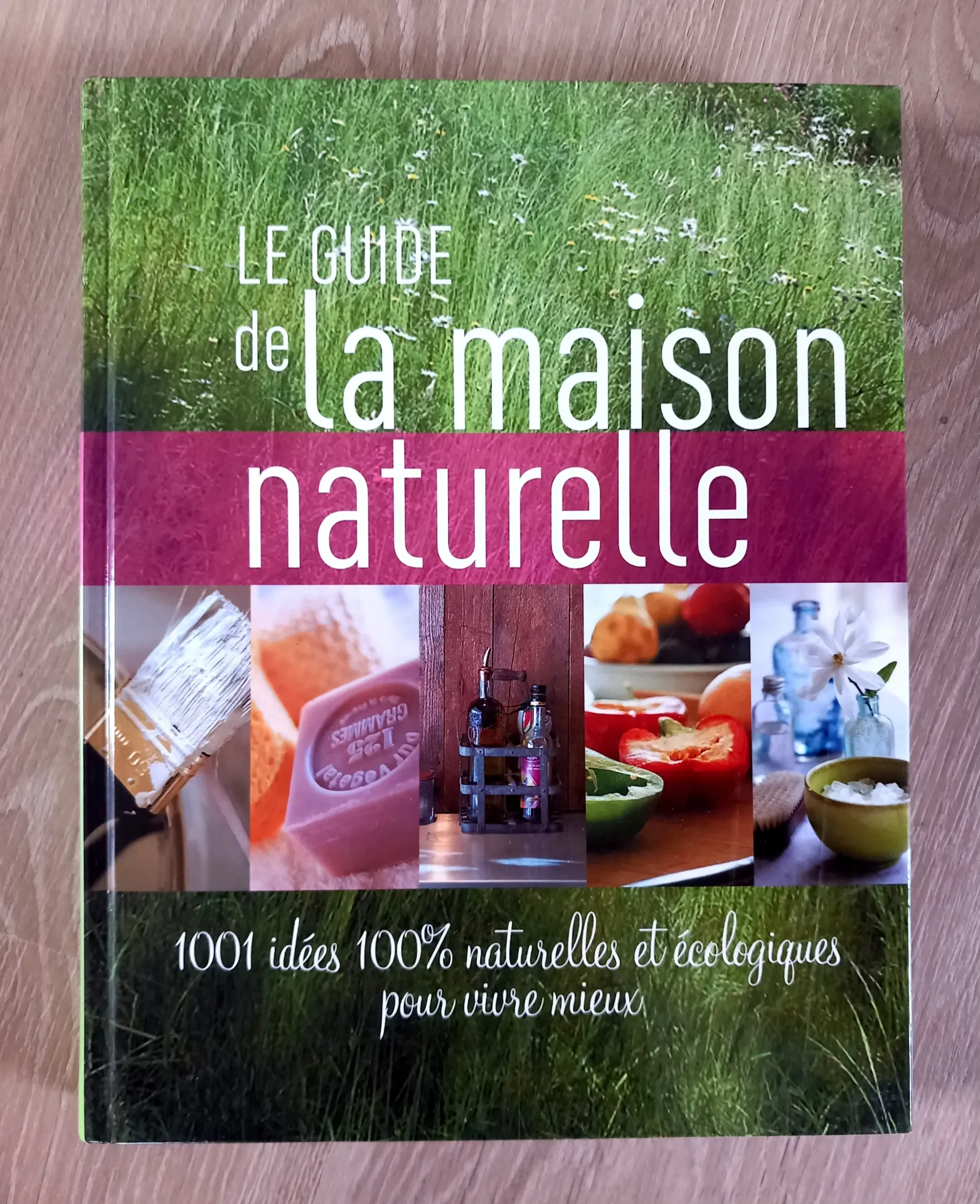Le guide de la maison naturelle (Eric Jouan, Anne Grégoire)