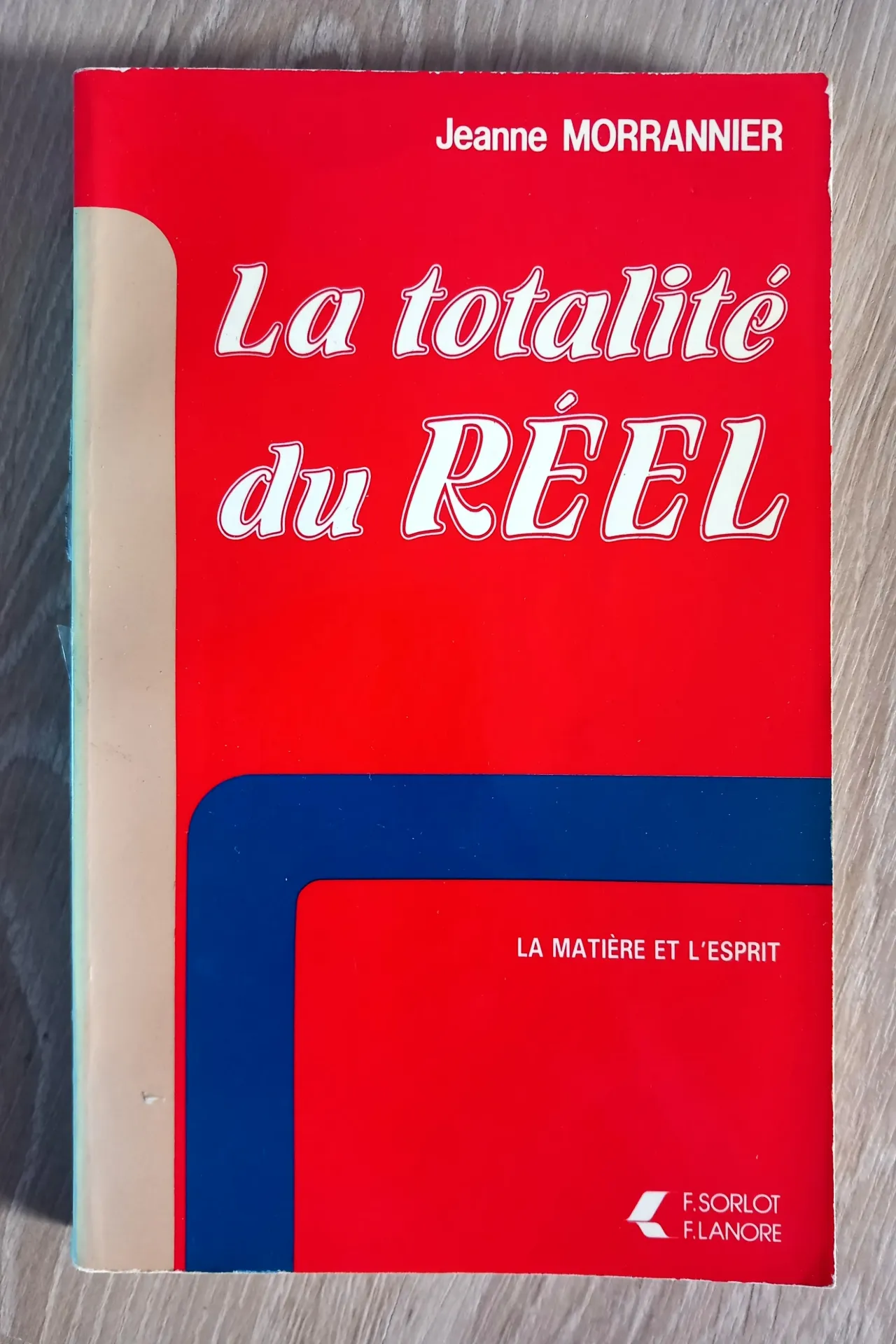 La totalité du réel (Jeanne Morrannier)