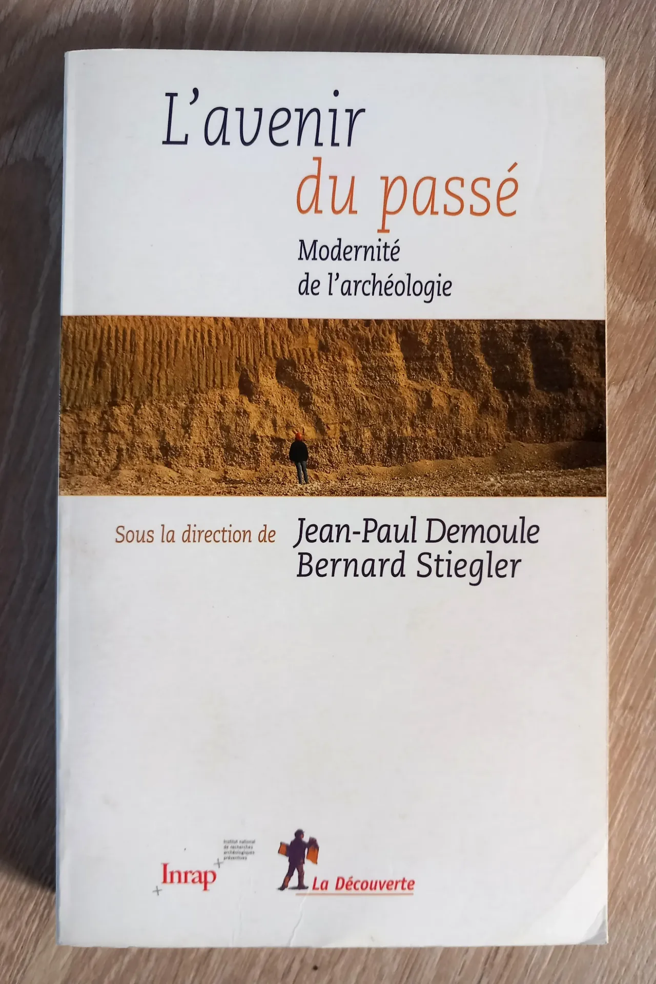 L'avenir du passé. Modernité de l'archéologie (Jean-Paul Demoule, Bernard Stiegler)