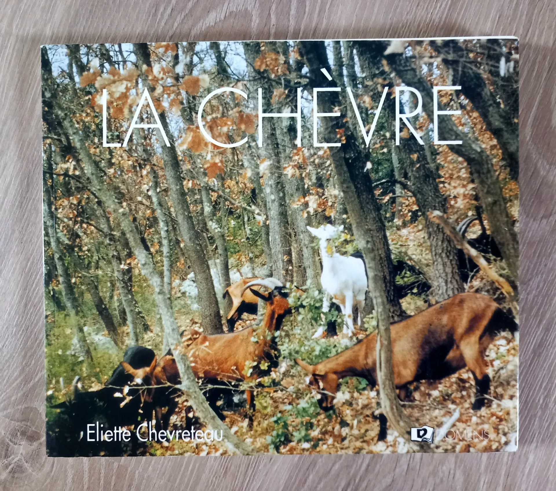 La chèvre (Eliette Chevreteau)