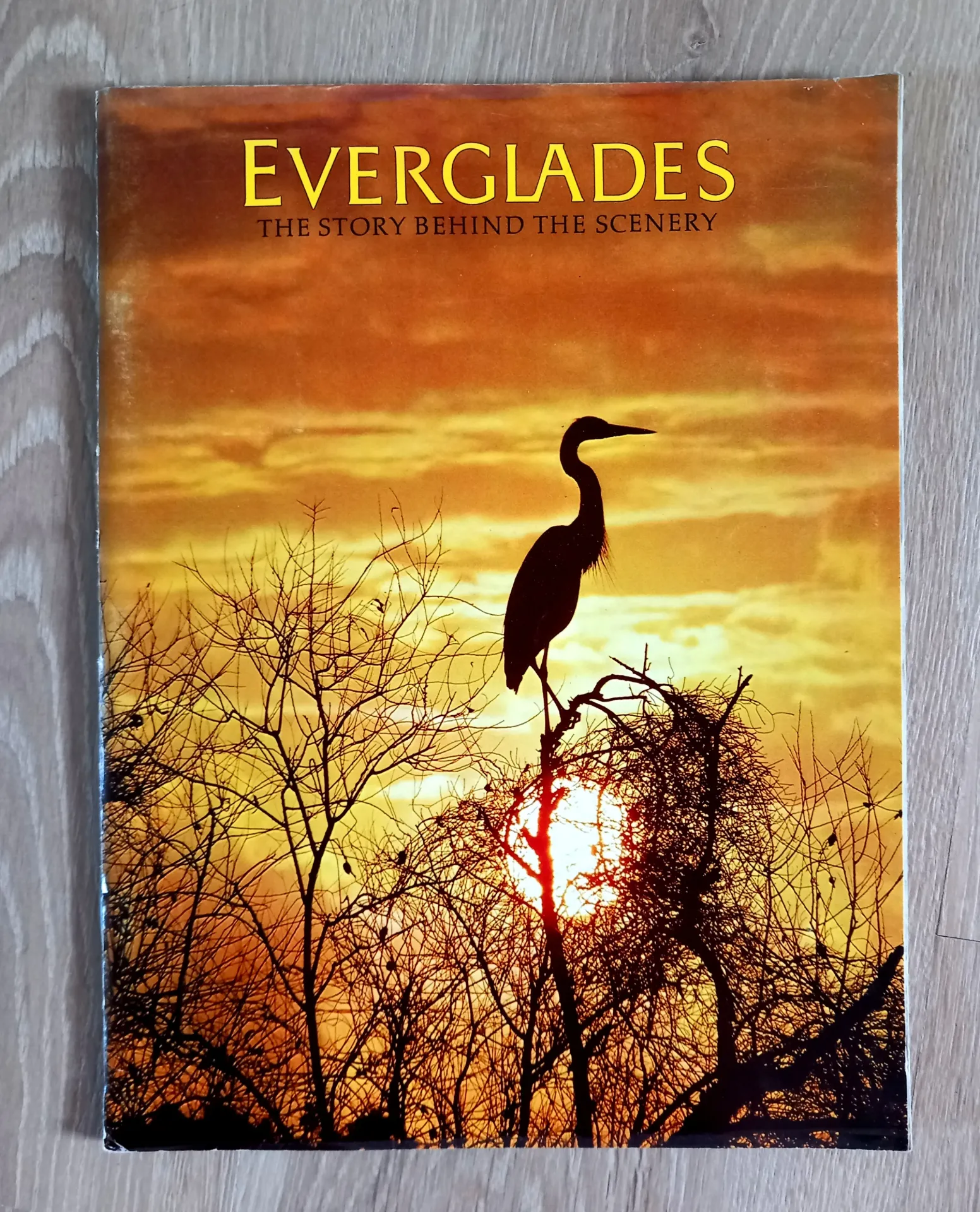 Everglades, the story behind the scenery (Jack de Golia)