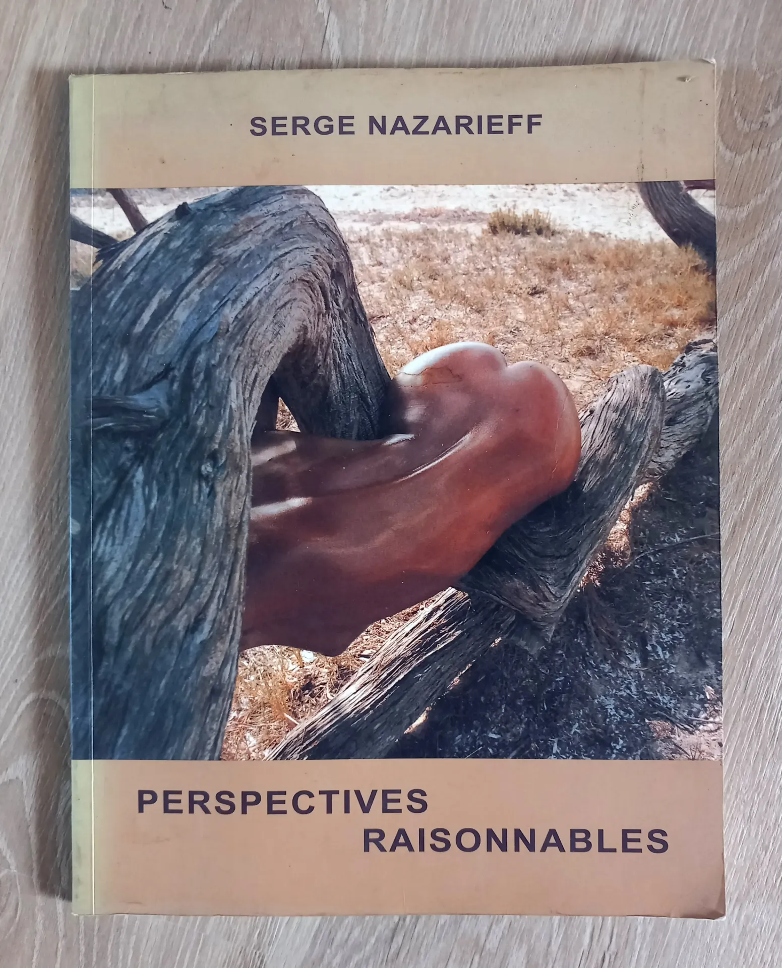 Perspectives raisonnables (Serge Nazarieff)