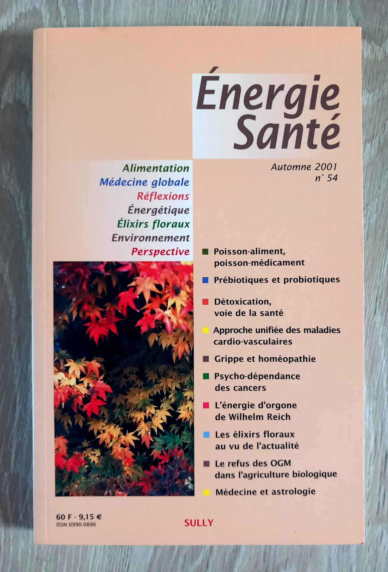 Energie Santé. N° 54 - Automne 2001
