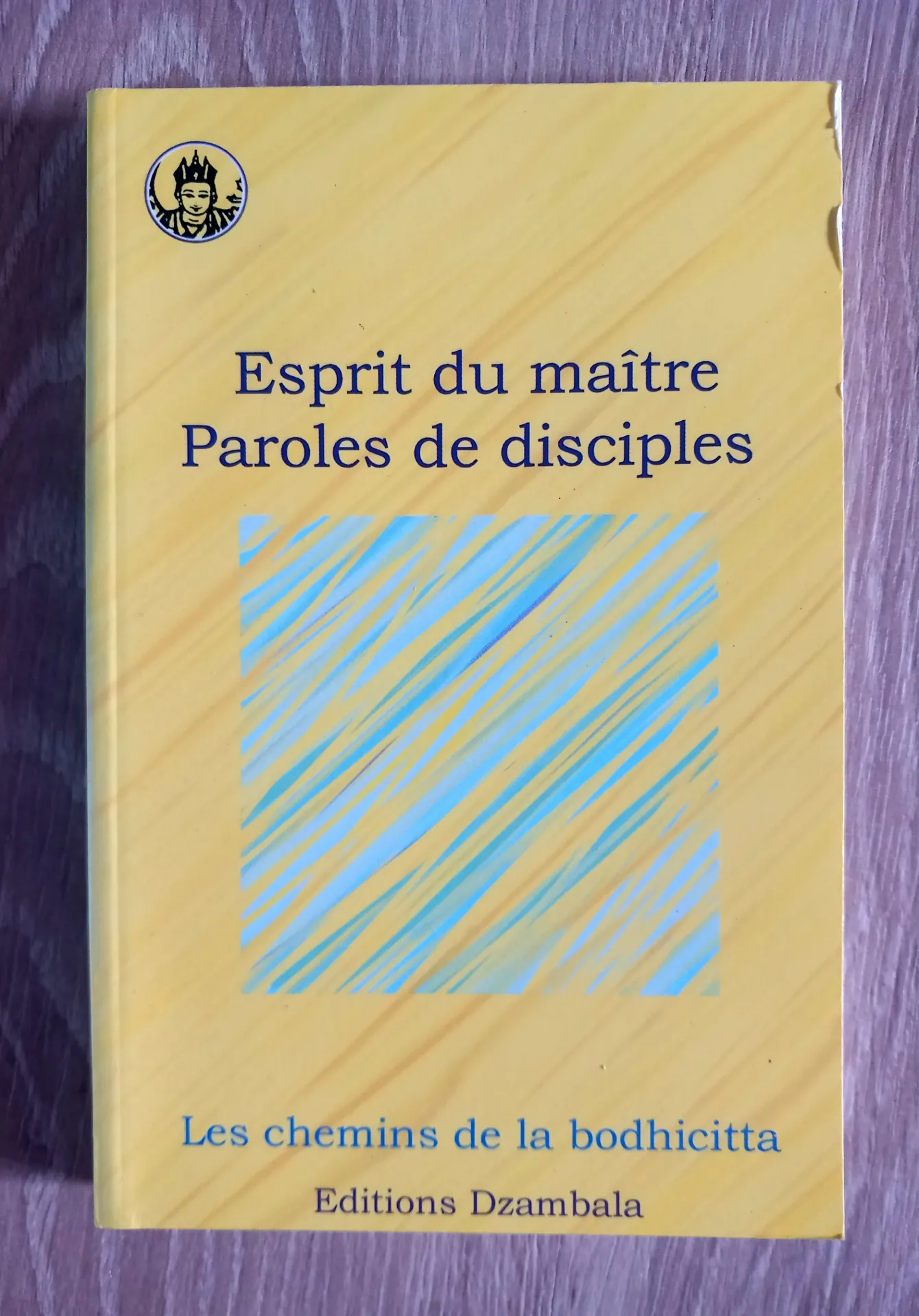 Esprit du maître - Paroles de disciples