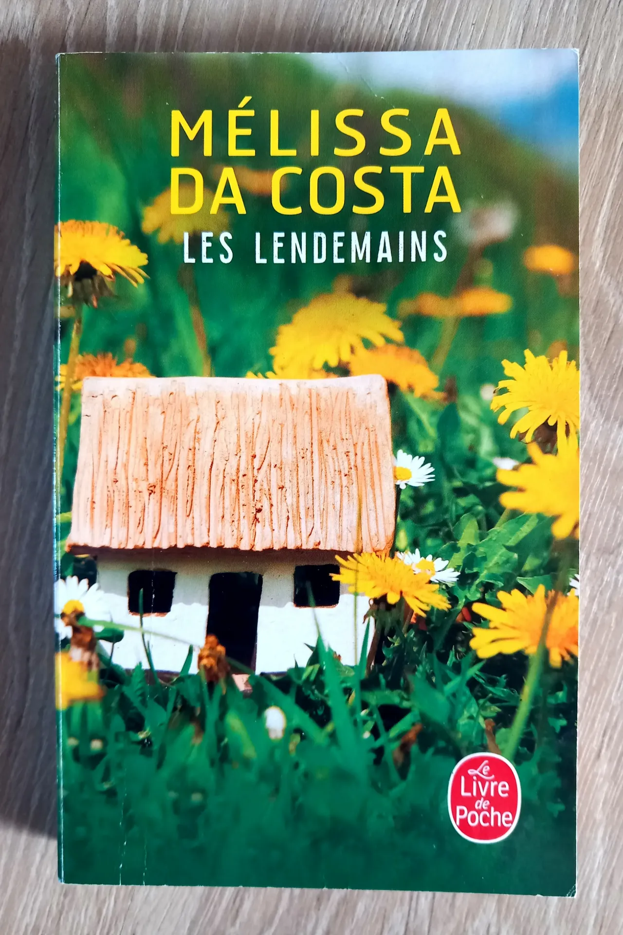 Les lendemains (Mélissa da Costa)