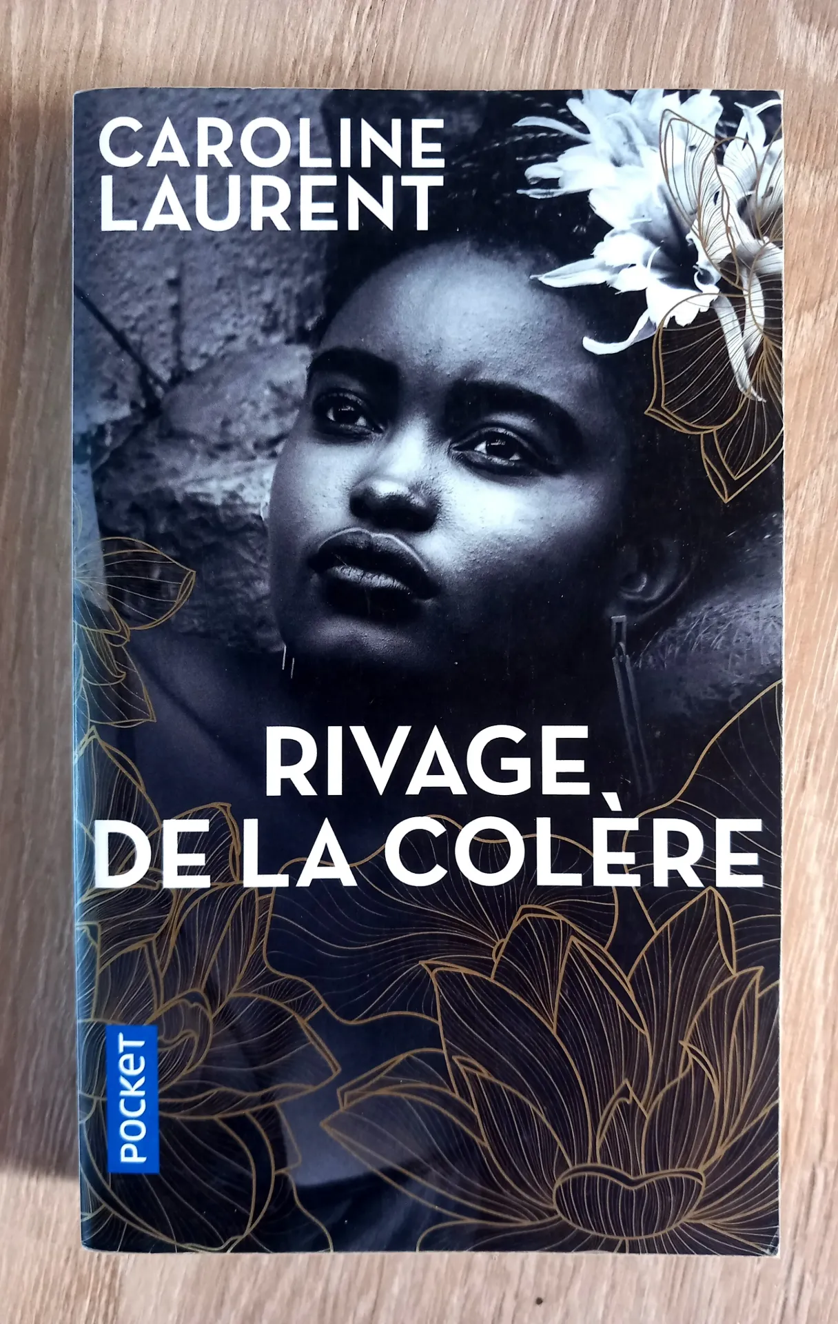 Rivages de la colère (Caroline Laurent)