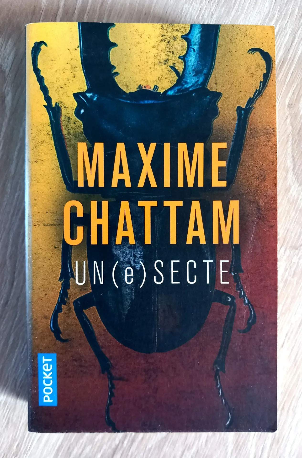 Un(e) secte (Maxime Chattam)