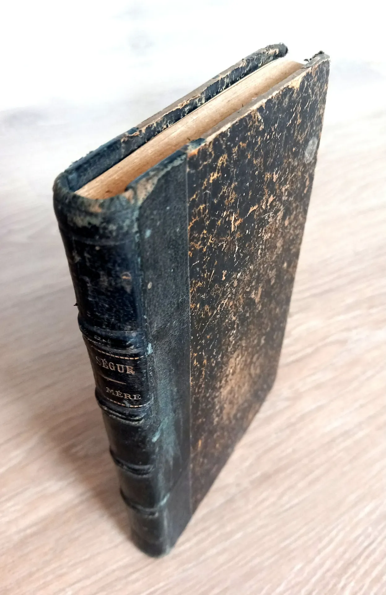 Ma Mère - 1875 (Comtesse de Ségur)